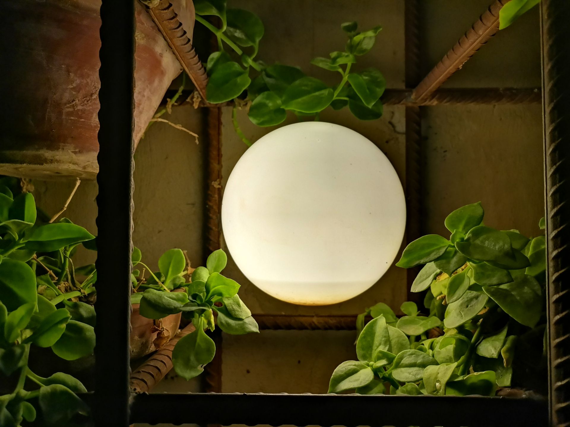 نمونه عکس هواوی نوا 7 آی - چراغ در تاریکی