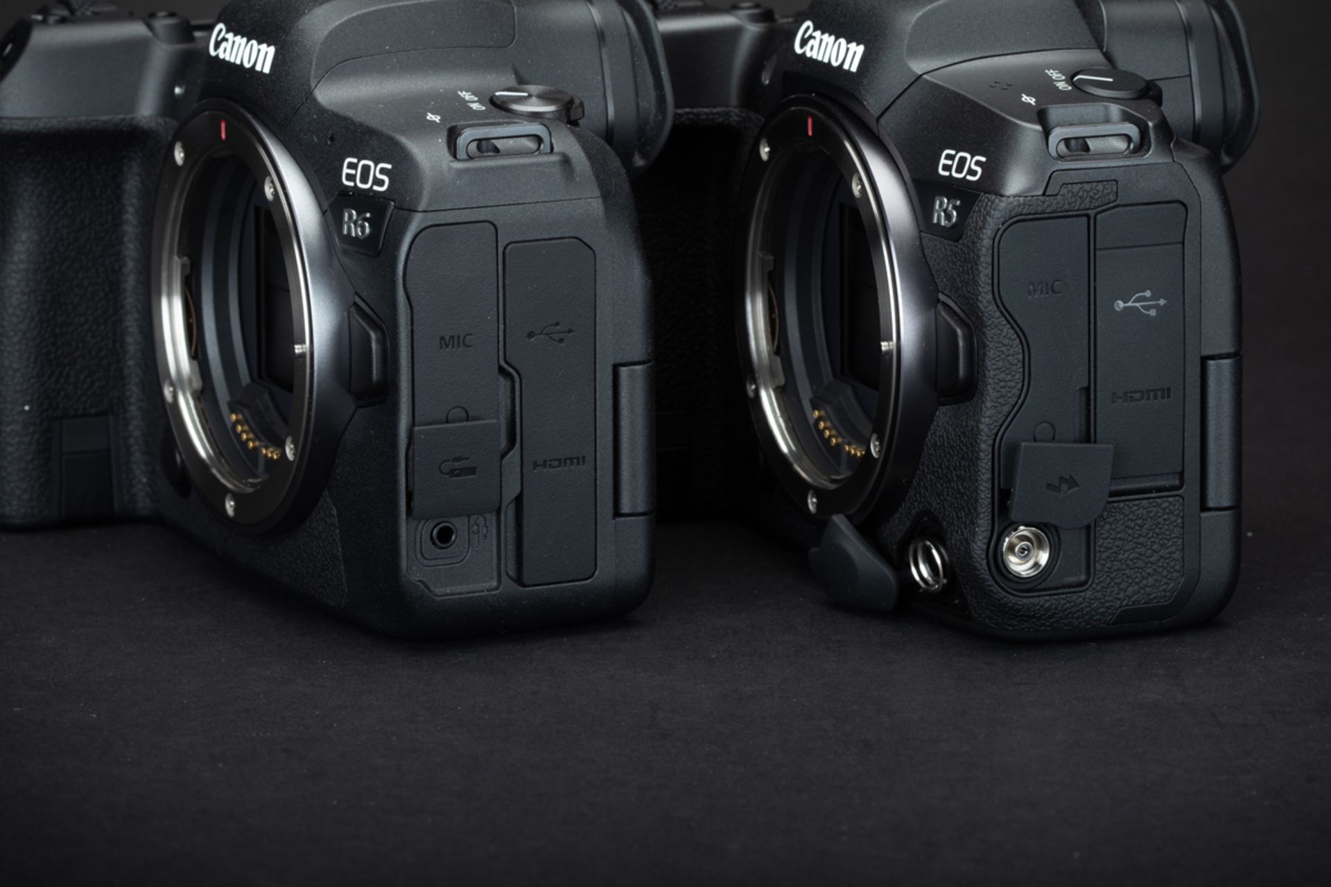 کانن EOS R5 درکنار EOS R6 از کنار بدون لنز