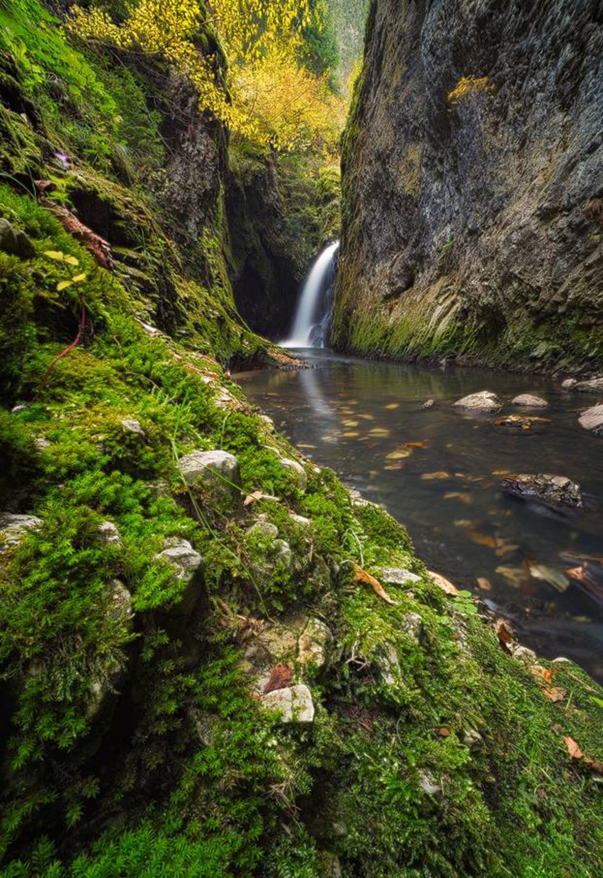 نمونه تصویر ثبت شده توسط اسوینارو با لنز ونوس اپتیکس 