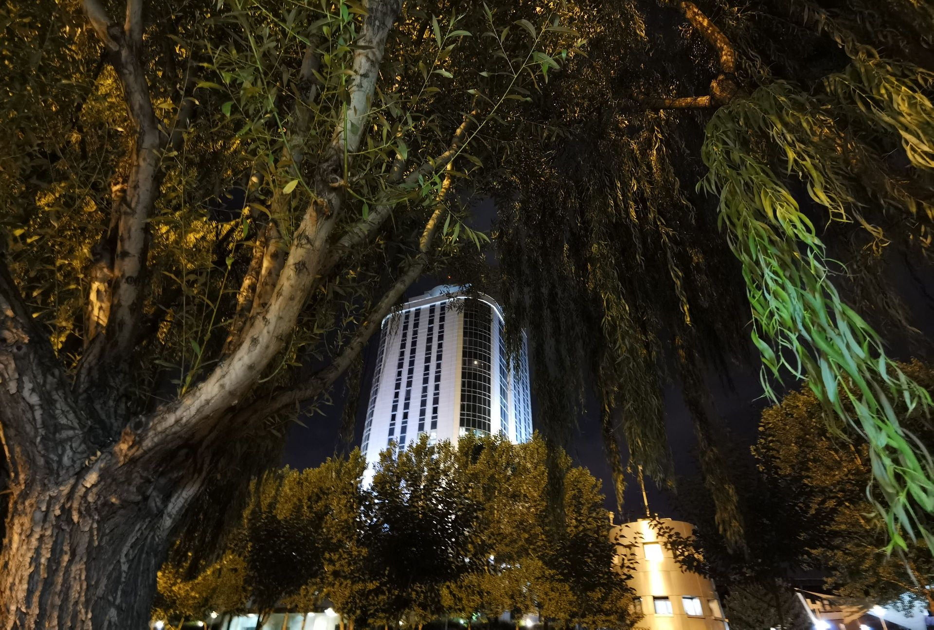 نمونه عکس اولتراواید هواوی P40 Pro در تاریکی با حالت Photo - ساختمان و درخت