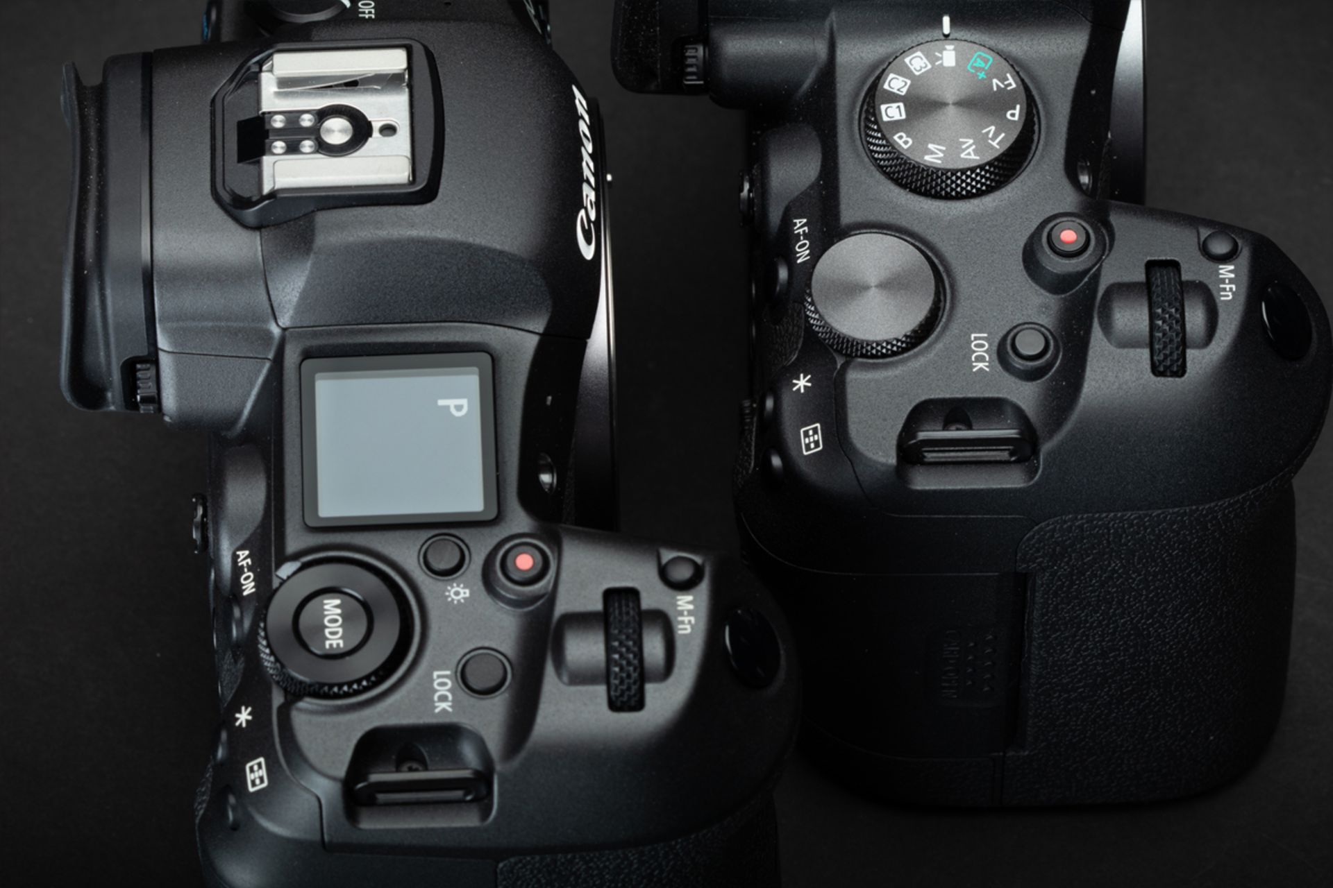 کانن EOS R5 درکنار EOS R6 از بخش بالا