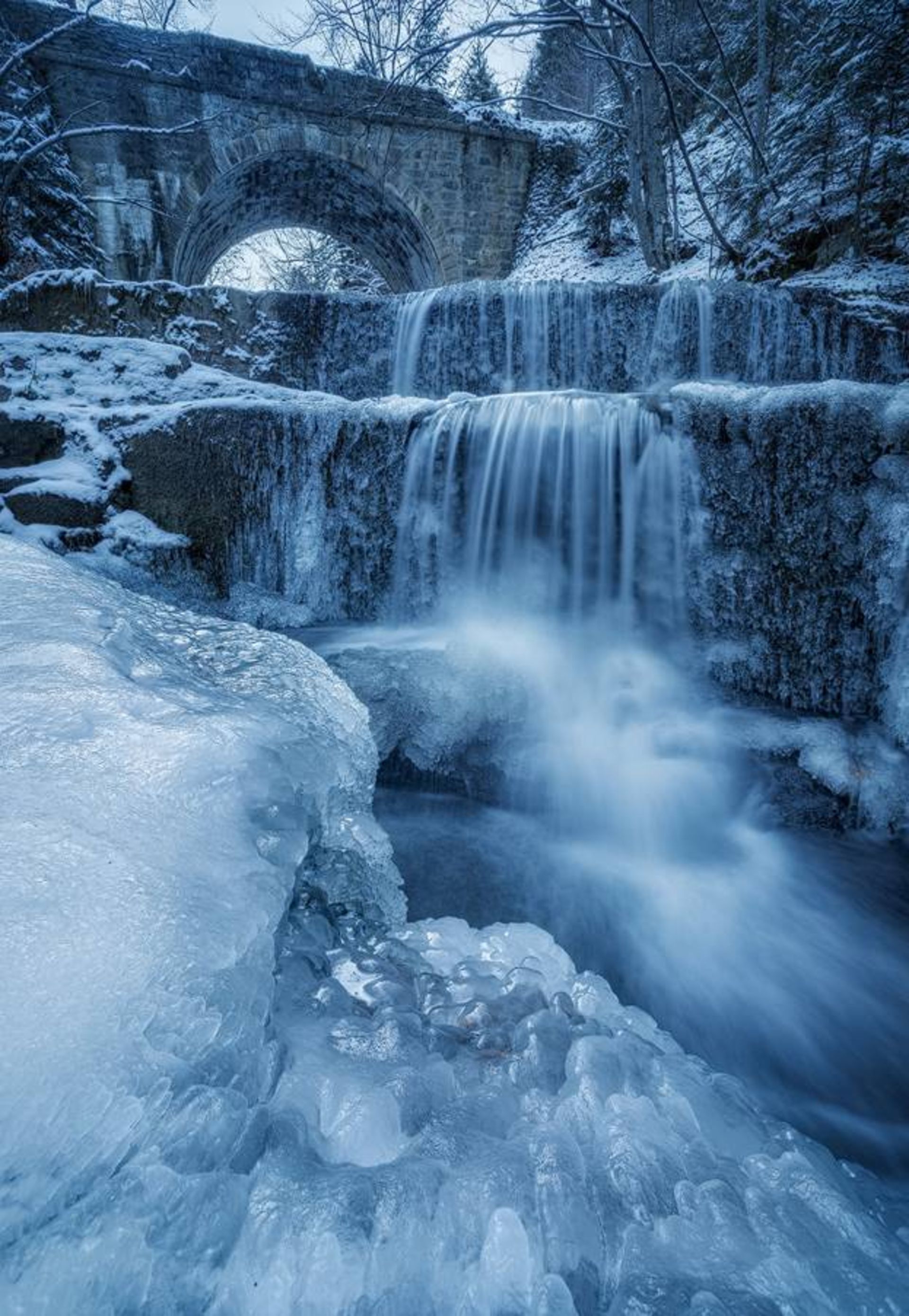 نمونه تصویر ثبت شده توسط اسوینارو با لنز ونوس اپتیکس 