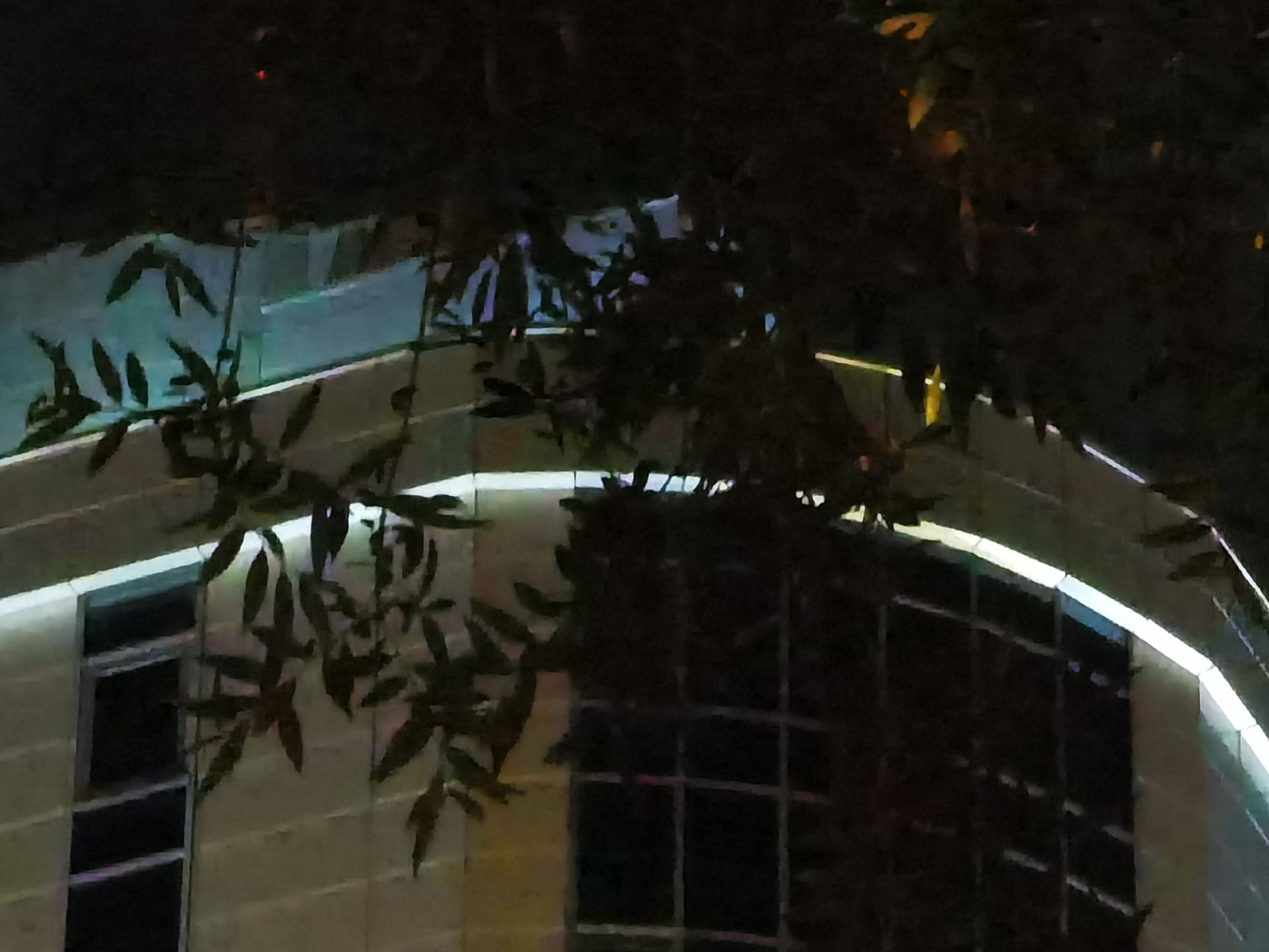 نمونه عکس 10x هواوی P40 Pro در تاریکی با حالت Photo - ساختمان و درخت