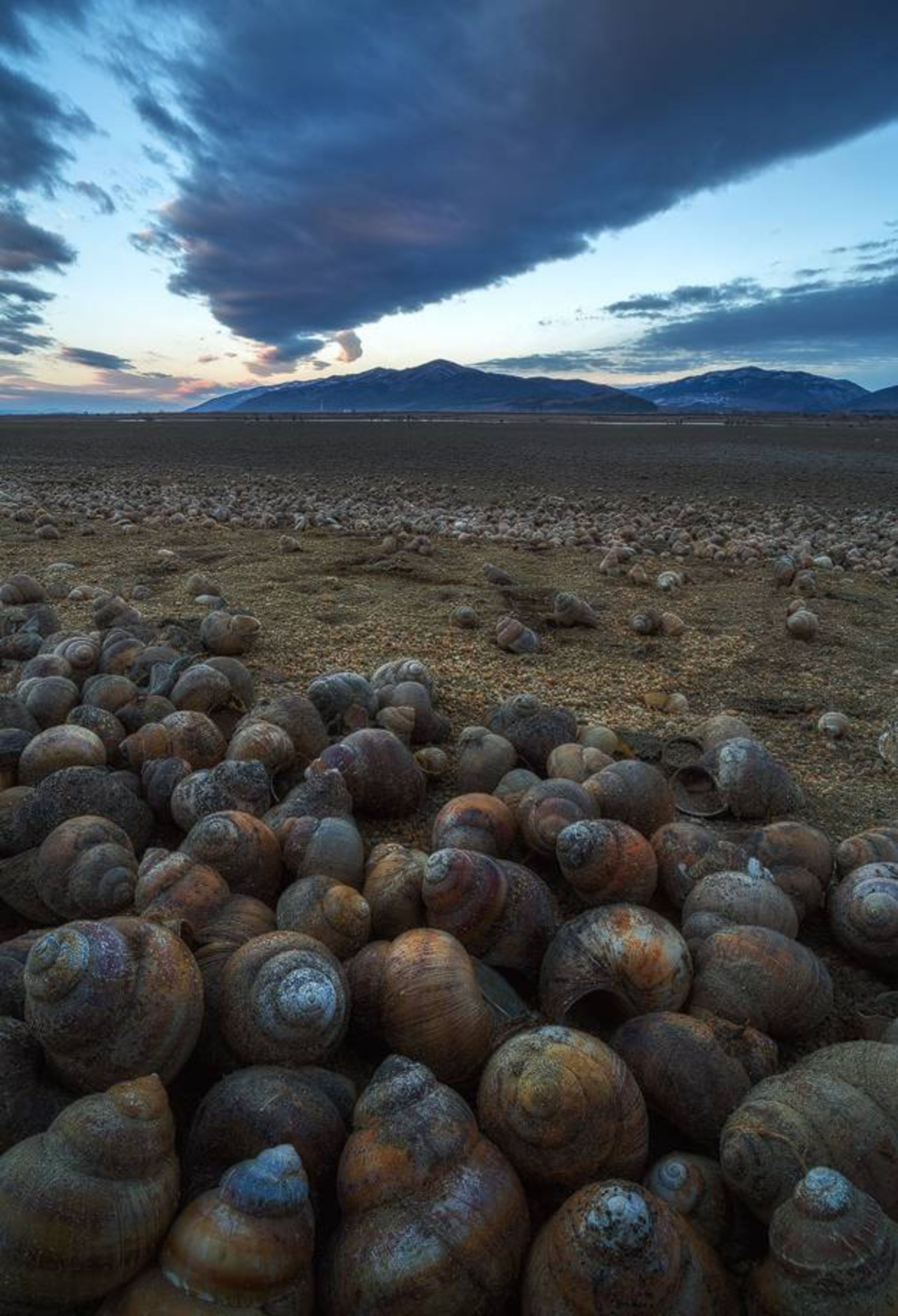 نمونه تصویر ثبت شده توسط اسوینارو با لنز ونوس اپتیکس 