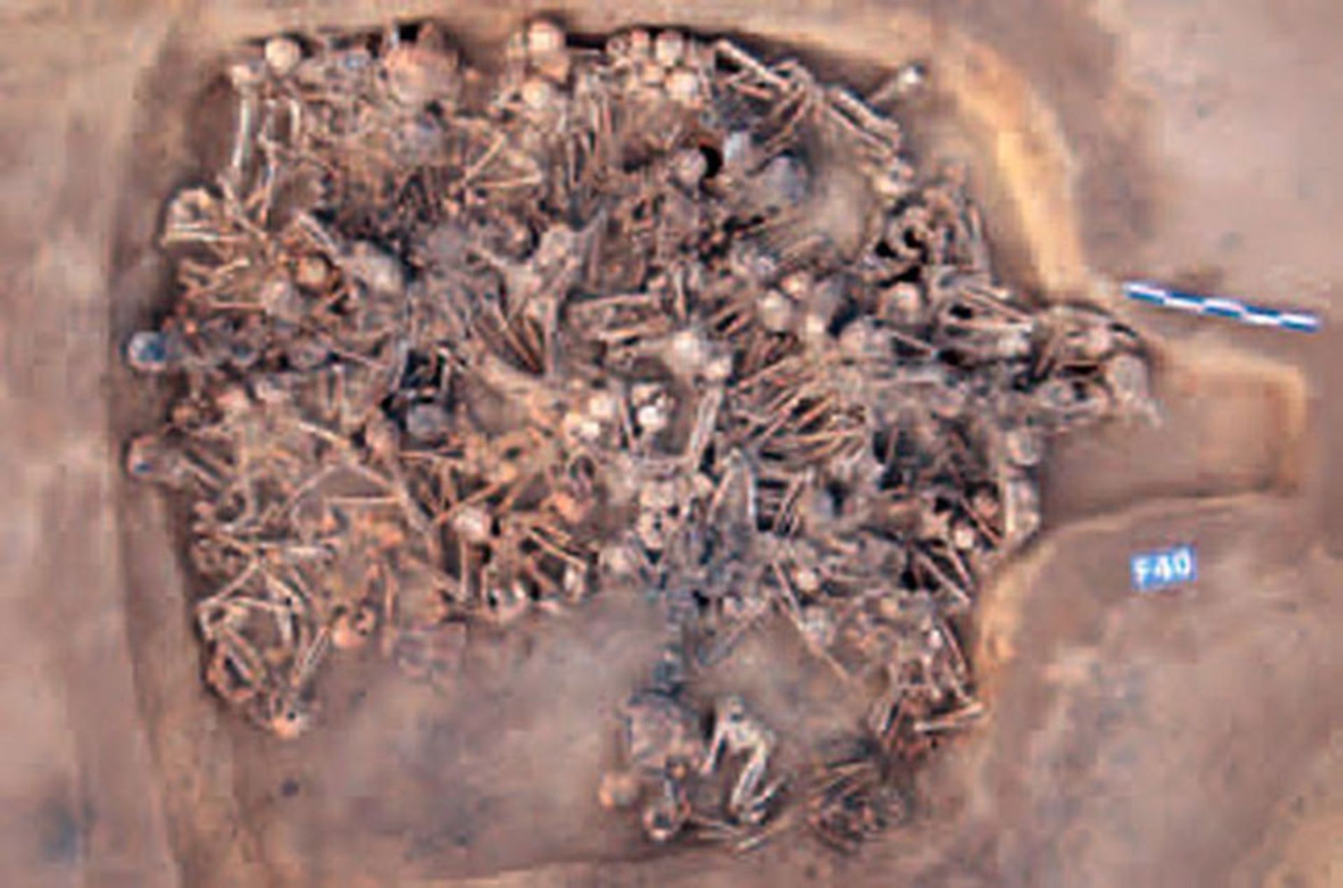 مرجع متخصصين ايران 5,000-year-old house in China filled with skeletons