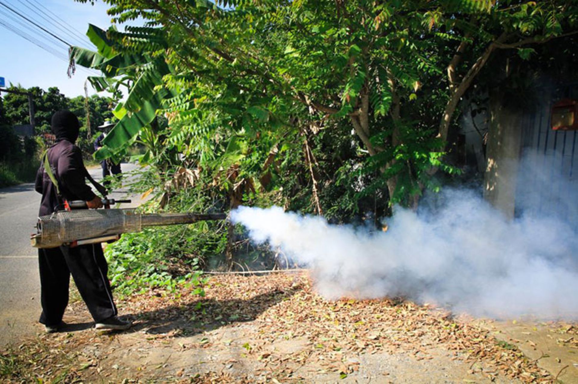 مرجع متخصصين ايران A worker sprays pesticide to kill mosquitoes that carry the Zika virus