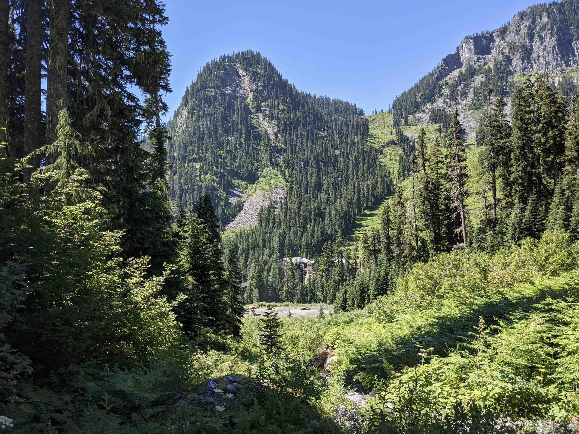 نمونه تصویر طبیعت با پیکسل 4a