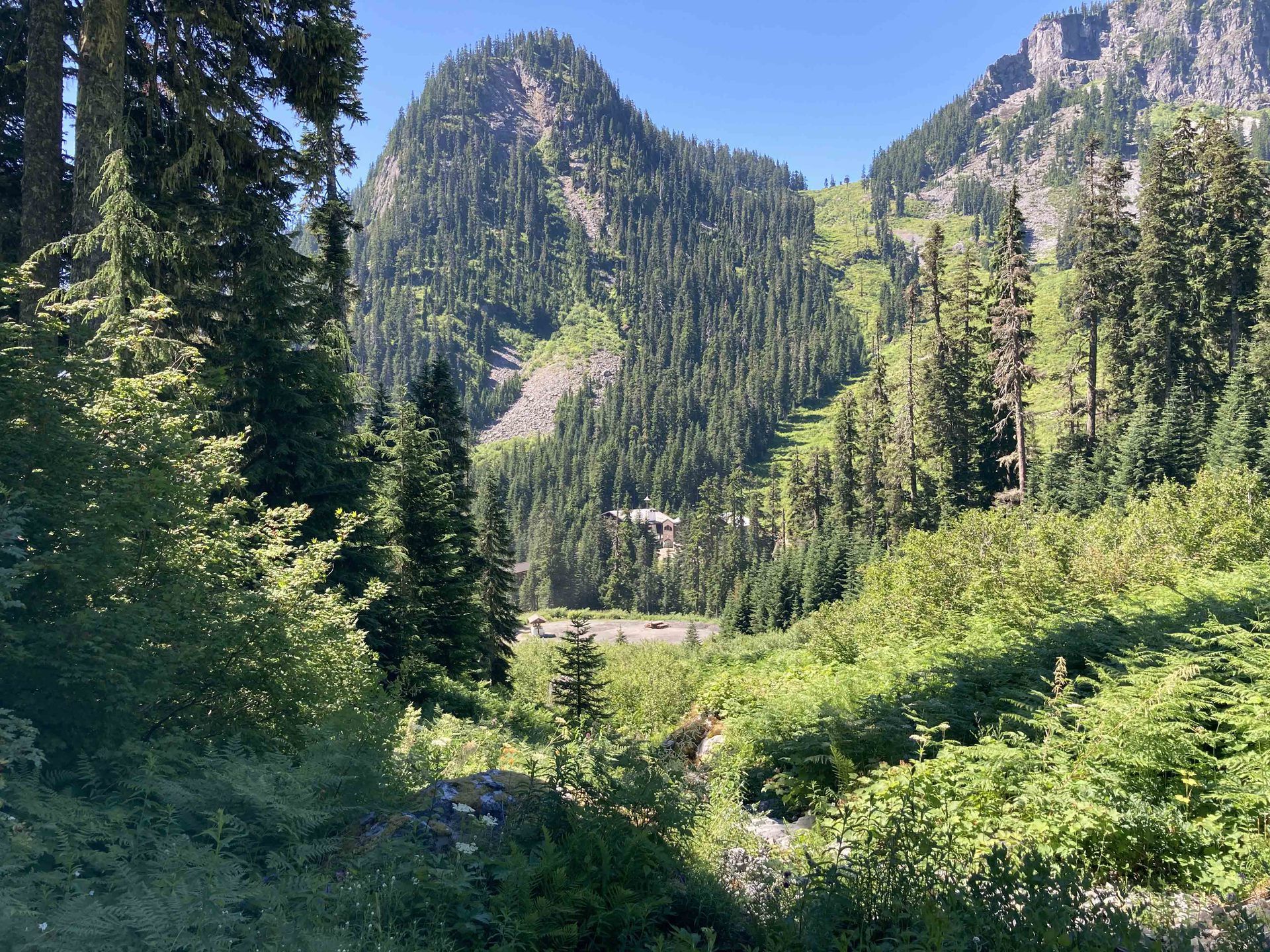 نمونه تصویر طبیعت با آیفون SE 2020