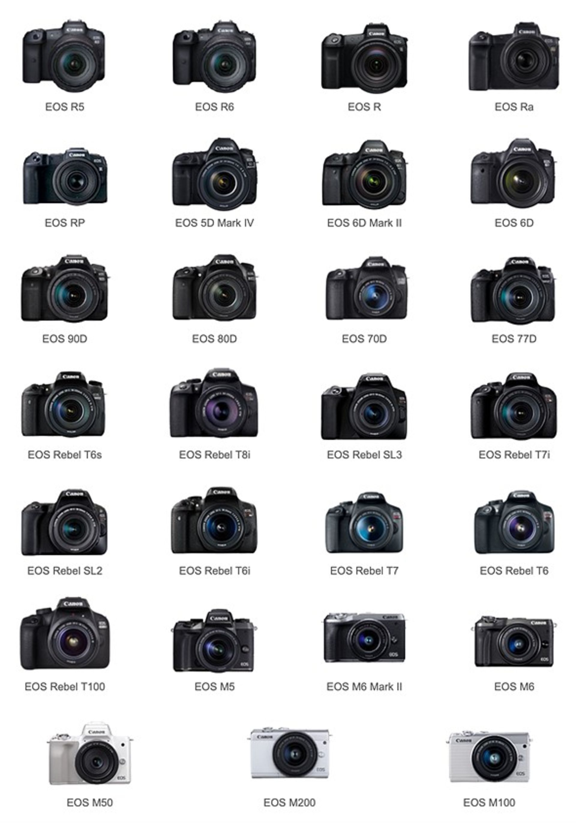 دوربین‌های کانن سازگار با بکاپ گوگل فوتوز