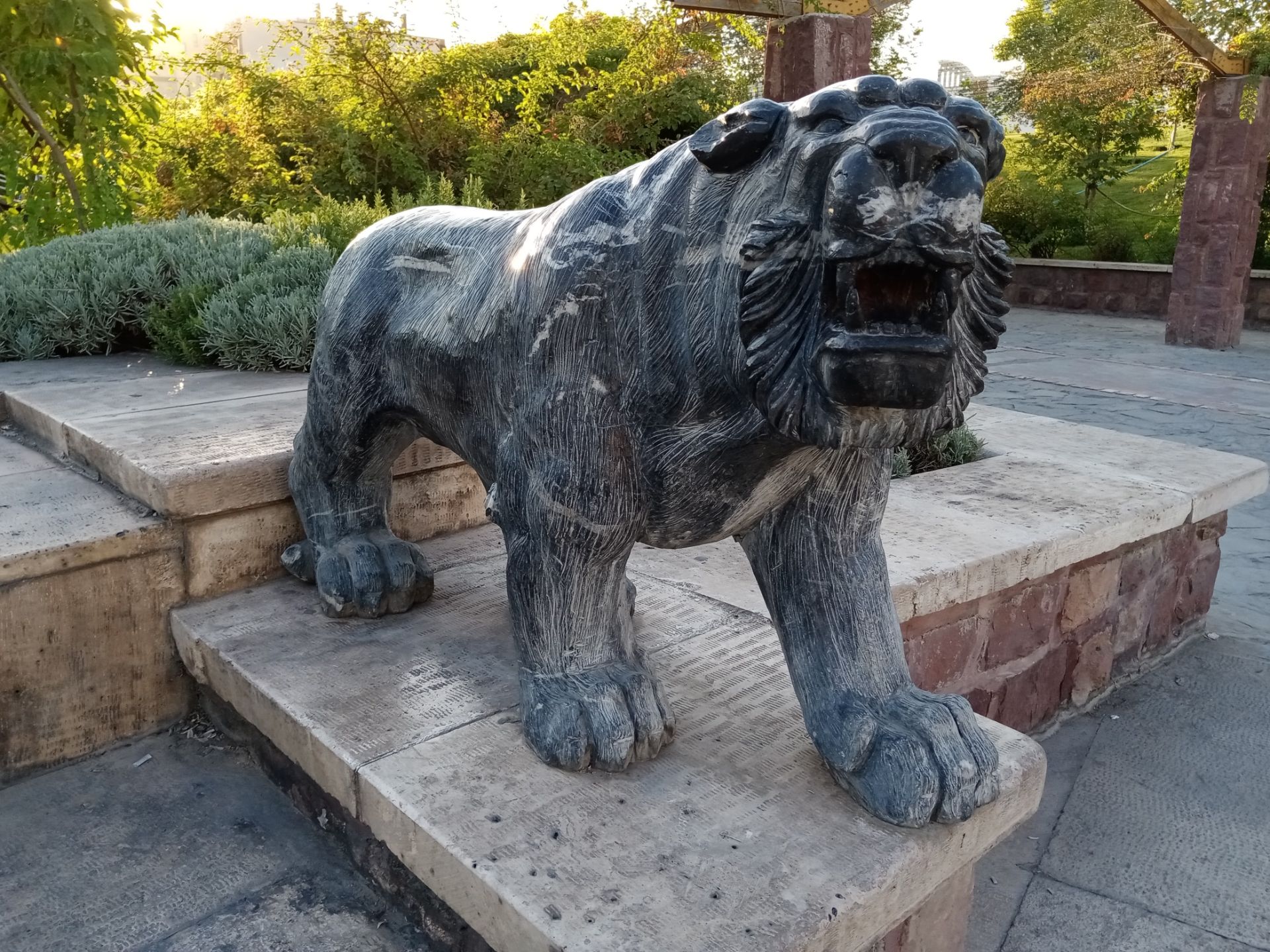 نمونه عکس گرفته شده با دوربین اصلی آنر 9A در روز ۰۴