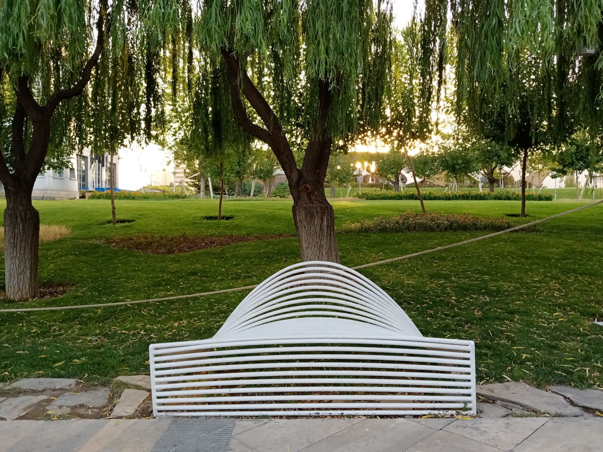 نمونه عکس گرفته شده با دوربین اصلی آنر 9A در روز ۰۹