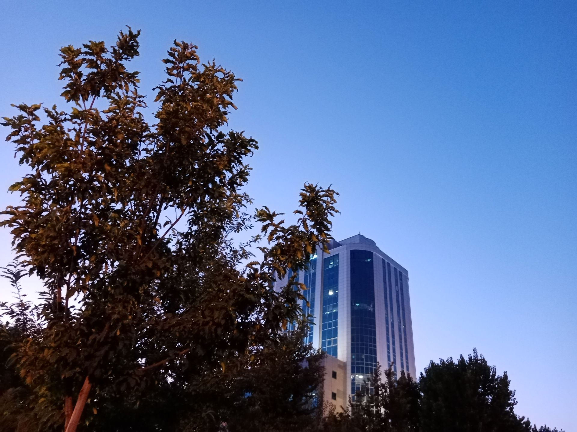 نمونه عکس گرفته شده با دوربین اصلی آنر 9A در شرایط نوری غیر ایده‌ال