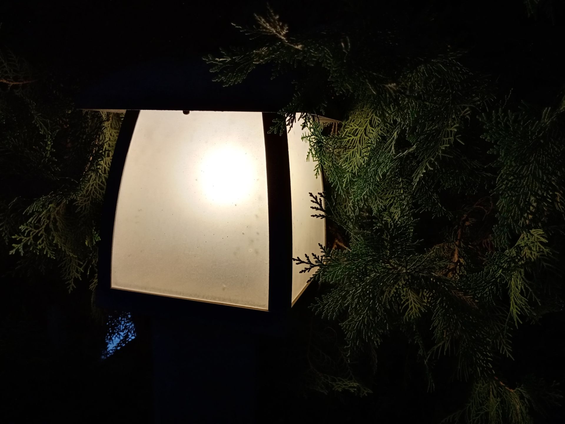 نمونه عکس گرفته شده با دوربین اصلی آنر 9A در شب