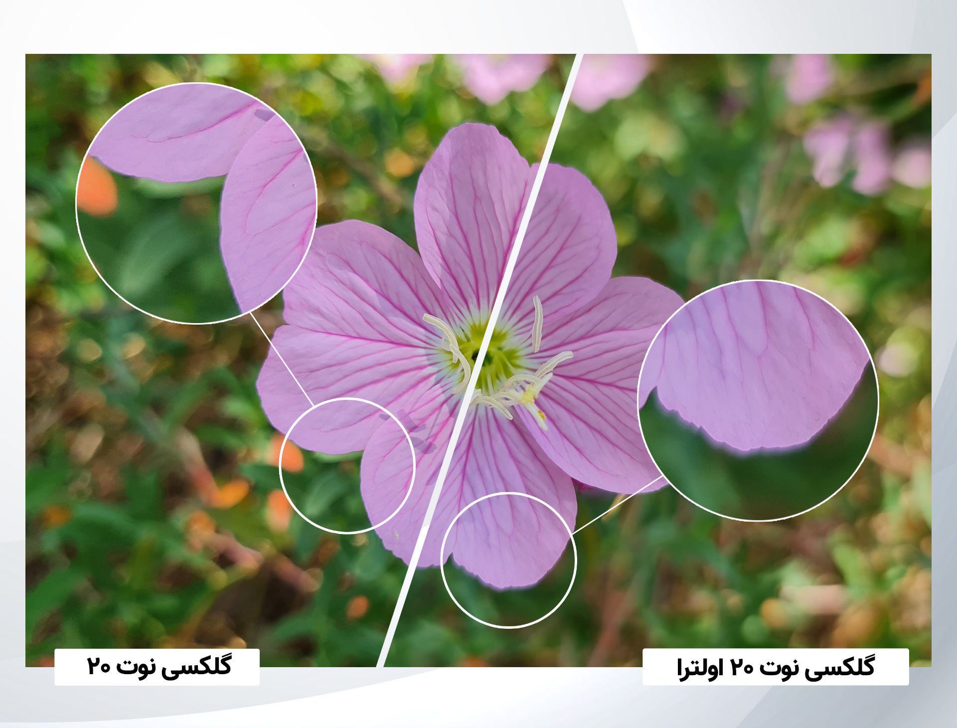 تفاوت فوکوس خودکار دوربین اصلی گلکسی نوت ۲۰ و گلکسی نوت ۲۰ اولترا