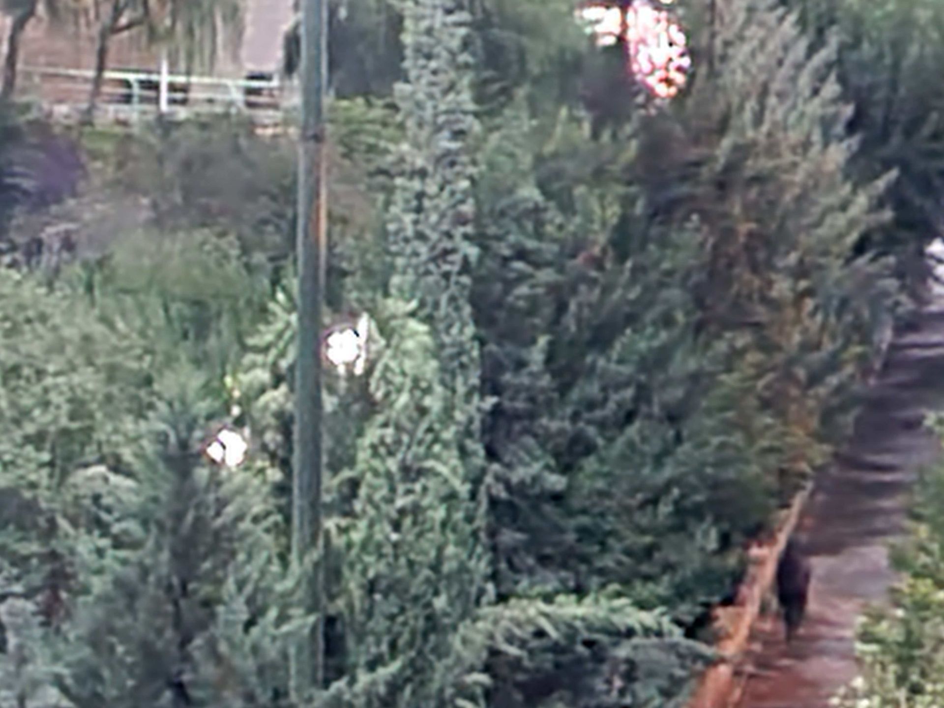 نمونه عکس 10X گلکسی نوت ۲۰ در تاریکی - بوستان نهج البلاغه