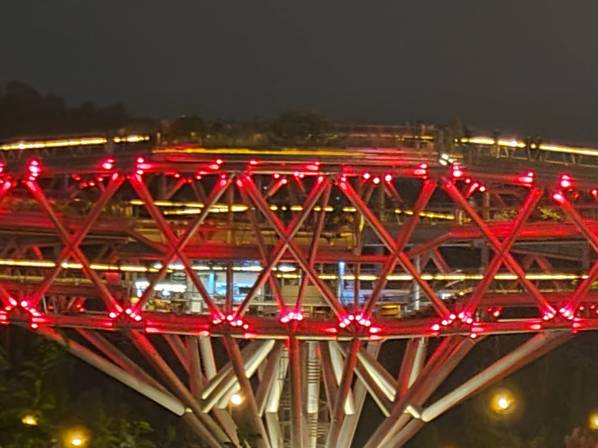 نمونه عکس 10X گلکسی نوت ۲۰ در تاریکی - پل طبیعت