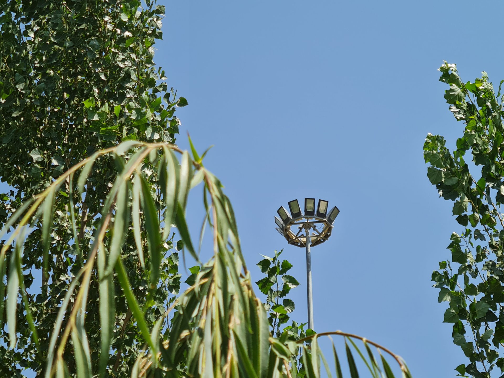 نمونه عکس 3X گلکسی نوت ۲۰ - پروژکتور بوستان نهج البلاغه