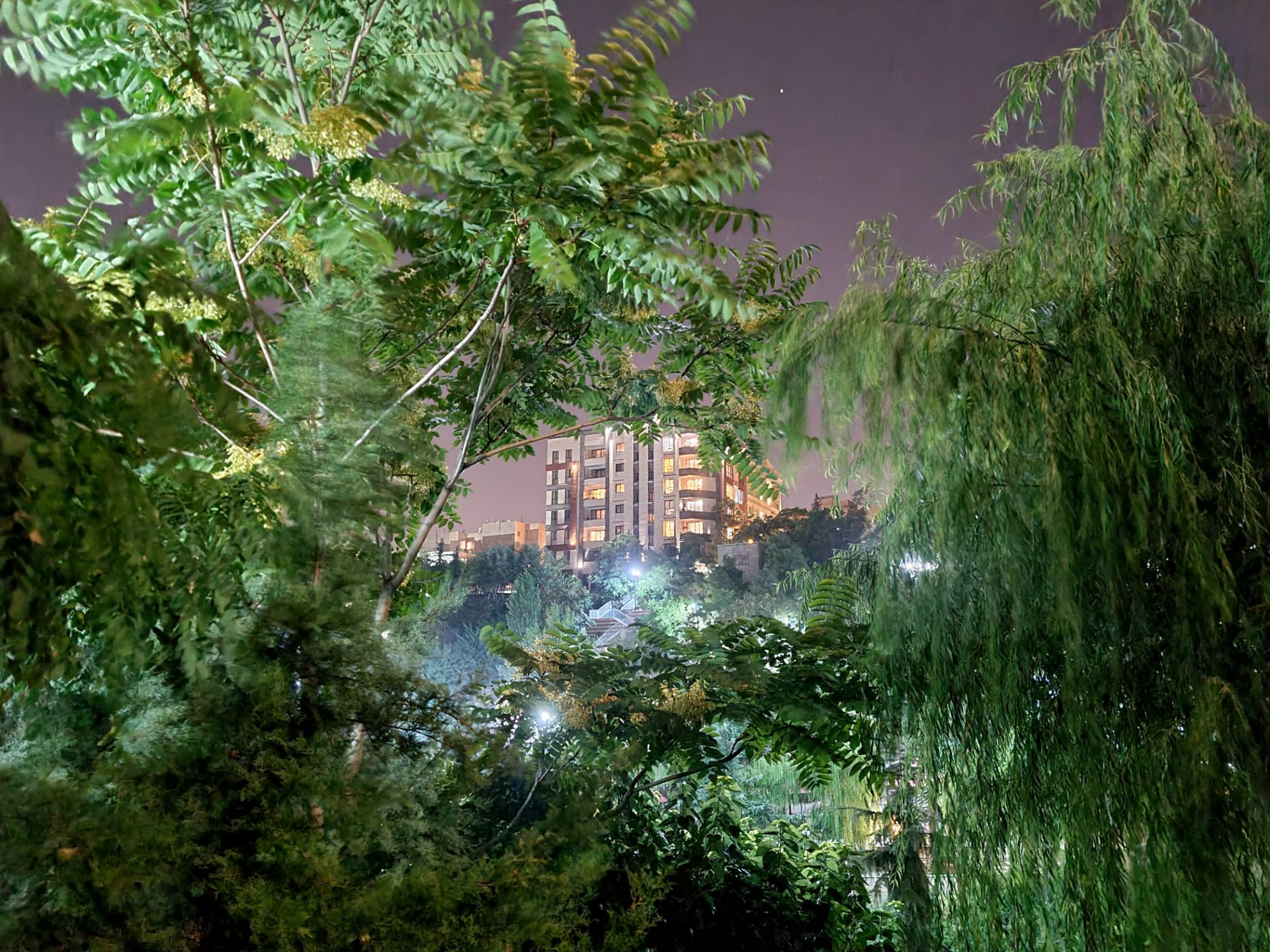 نمونه عکس دوربین اصلی گلکسی نوت ۲۰ در تاریکی - بوستان نهج البلاغه