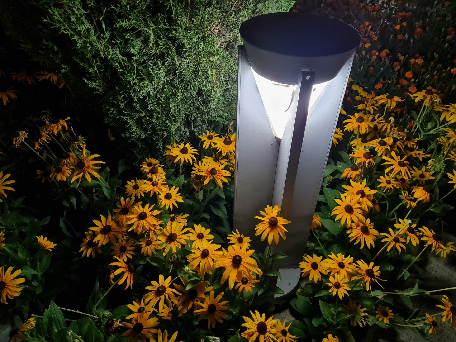 نمونه عکس دوربین اصلی گلکسی نوت ۲۰ در تاریکی - پارک آب و آتش