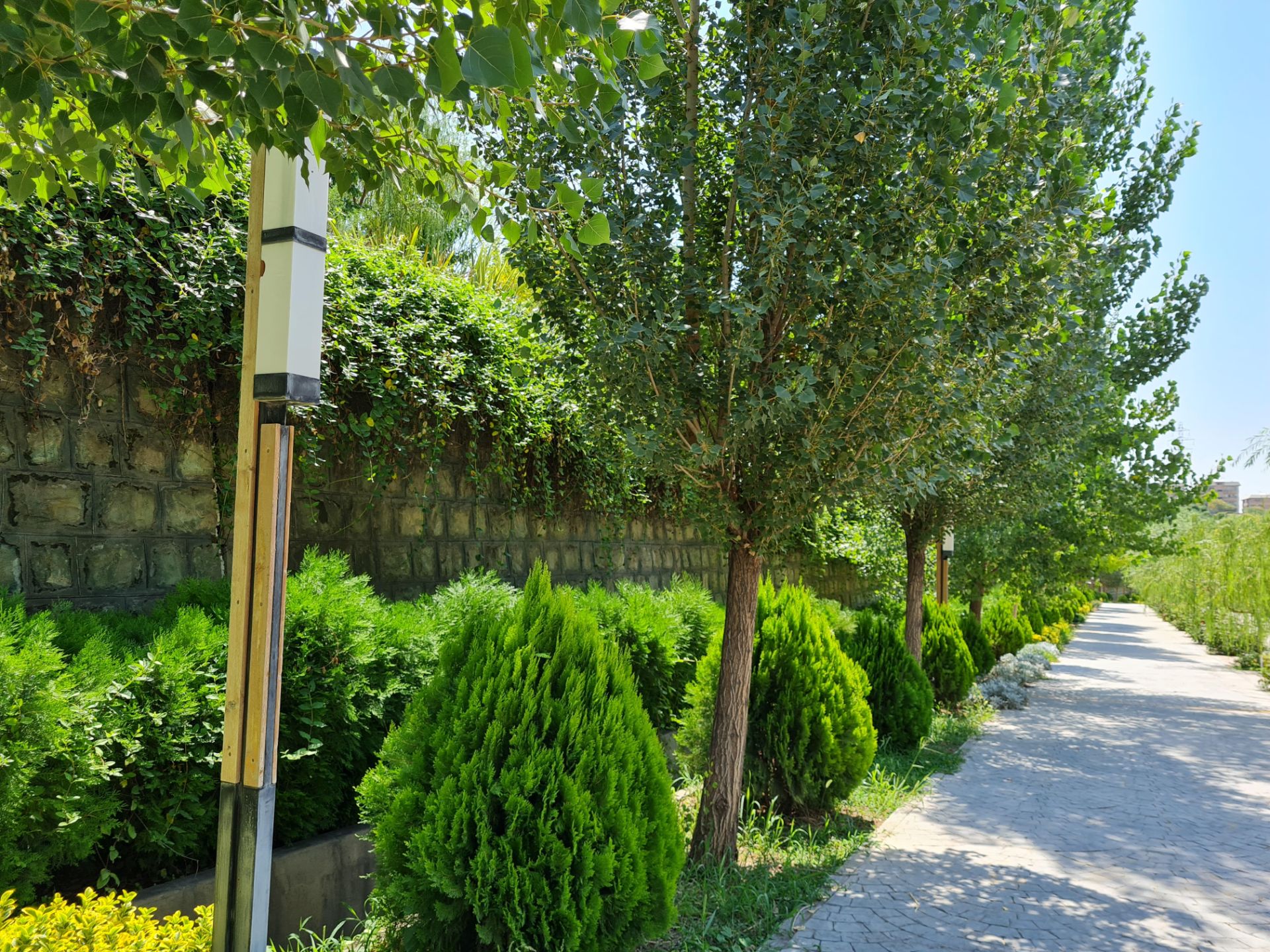 نمونه عکس دوربین اصلی گلکسی نوت ۲۰ - بوستان نهج البلاغه