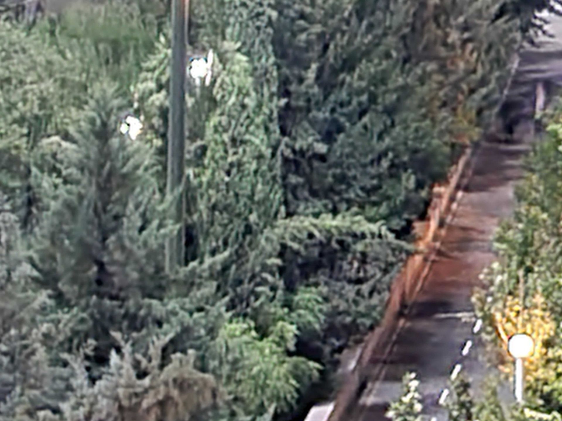 نمونه عکس 10X گلکسی نوت ۲۰ اولترا در تاریکی - بوستان نهج البلااغه