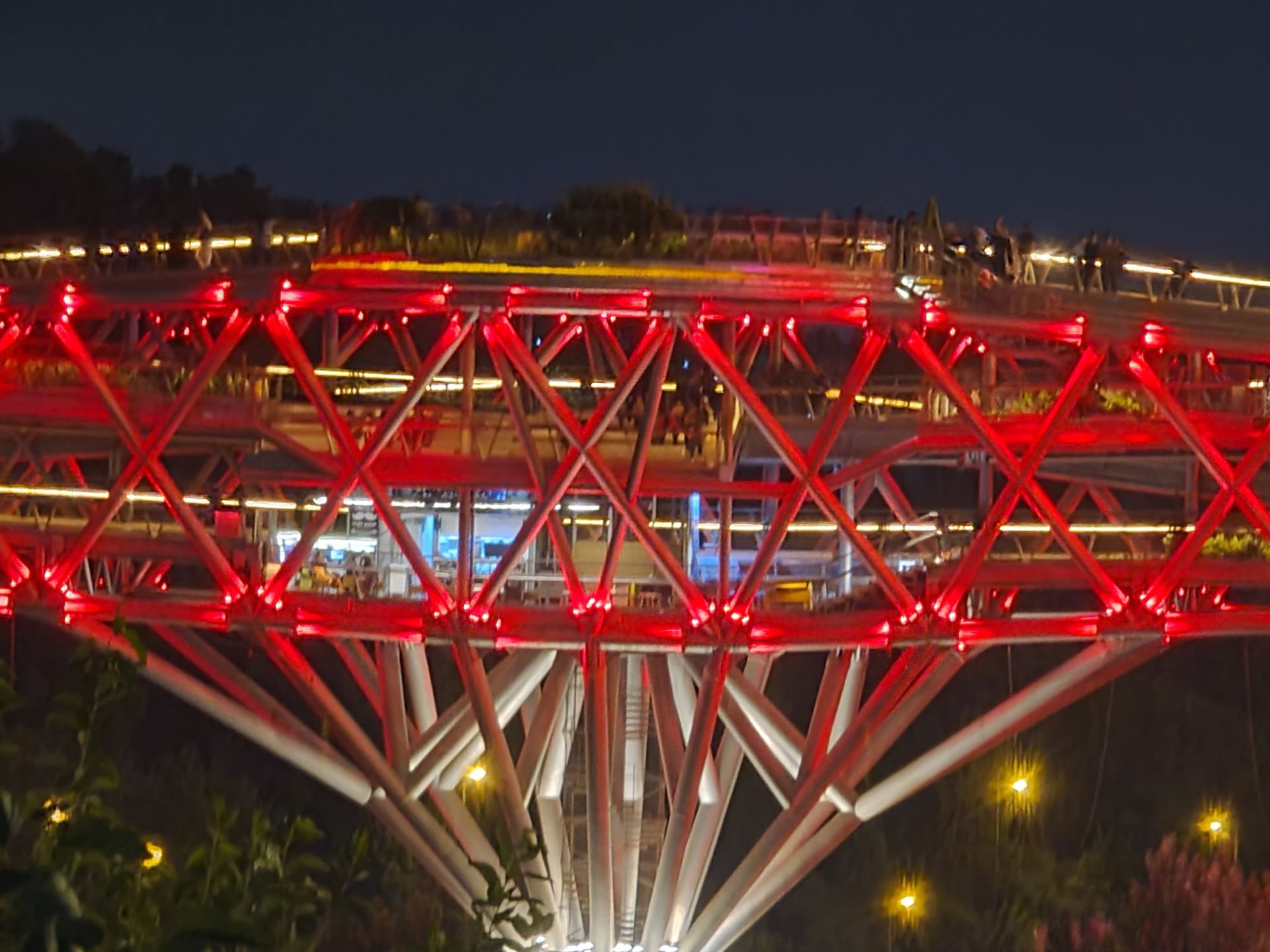 نمونه عکس 10X گلکسی نوت ۲۰ اولترا در تاریکی - پل طبیعت