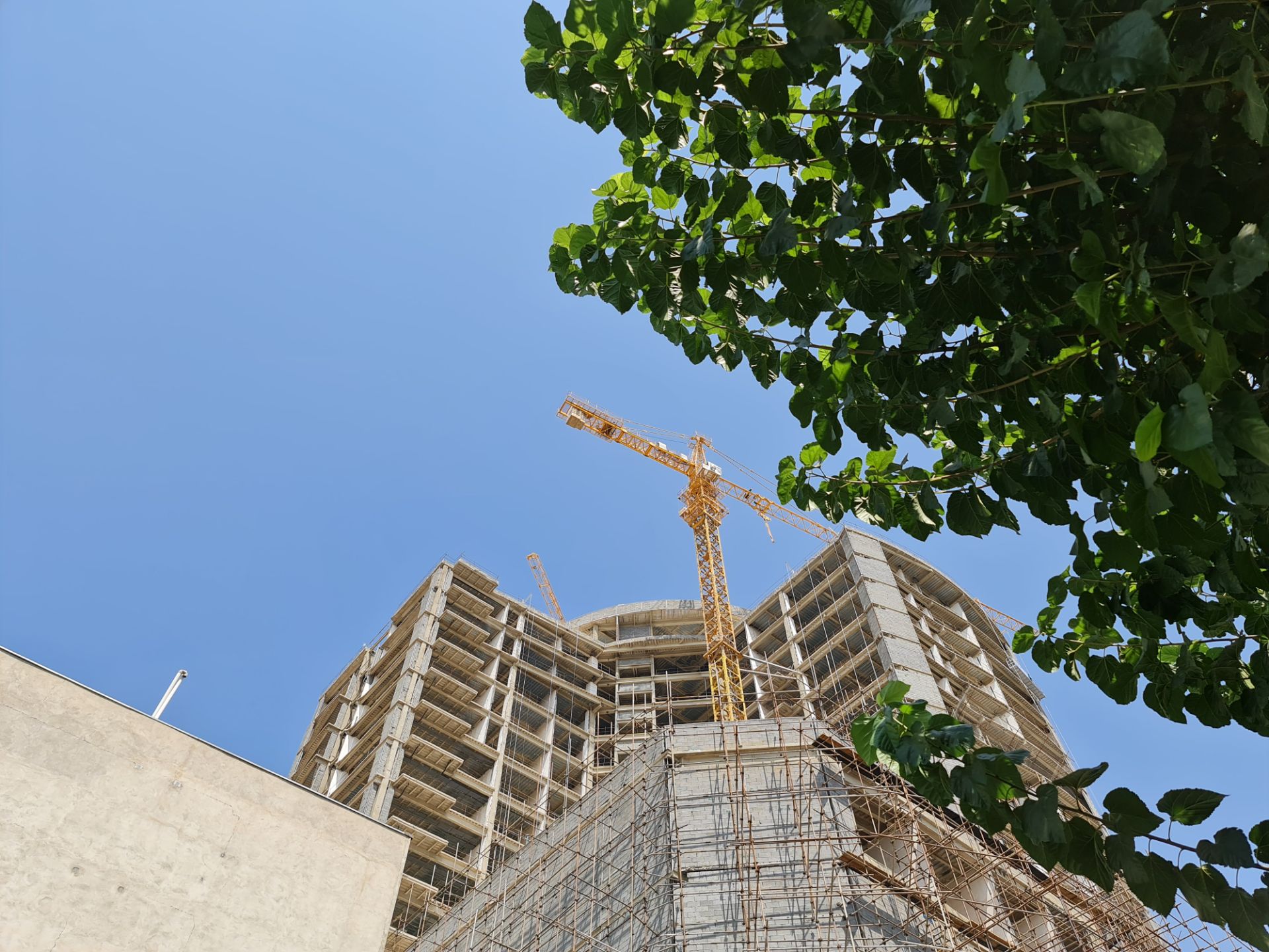 نمونه عکس 1X گلکسی نوت ۲۰ اولترا