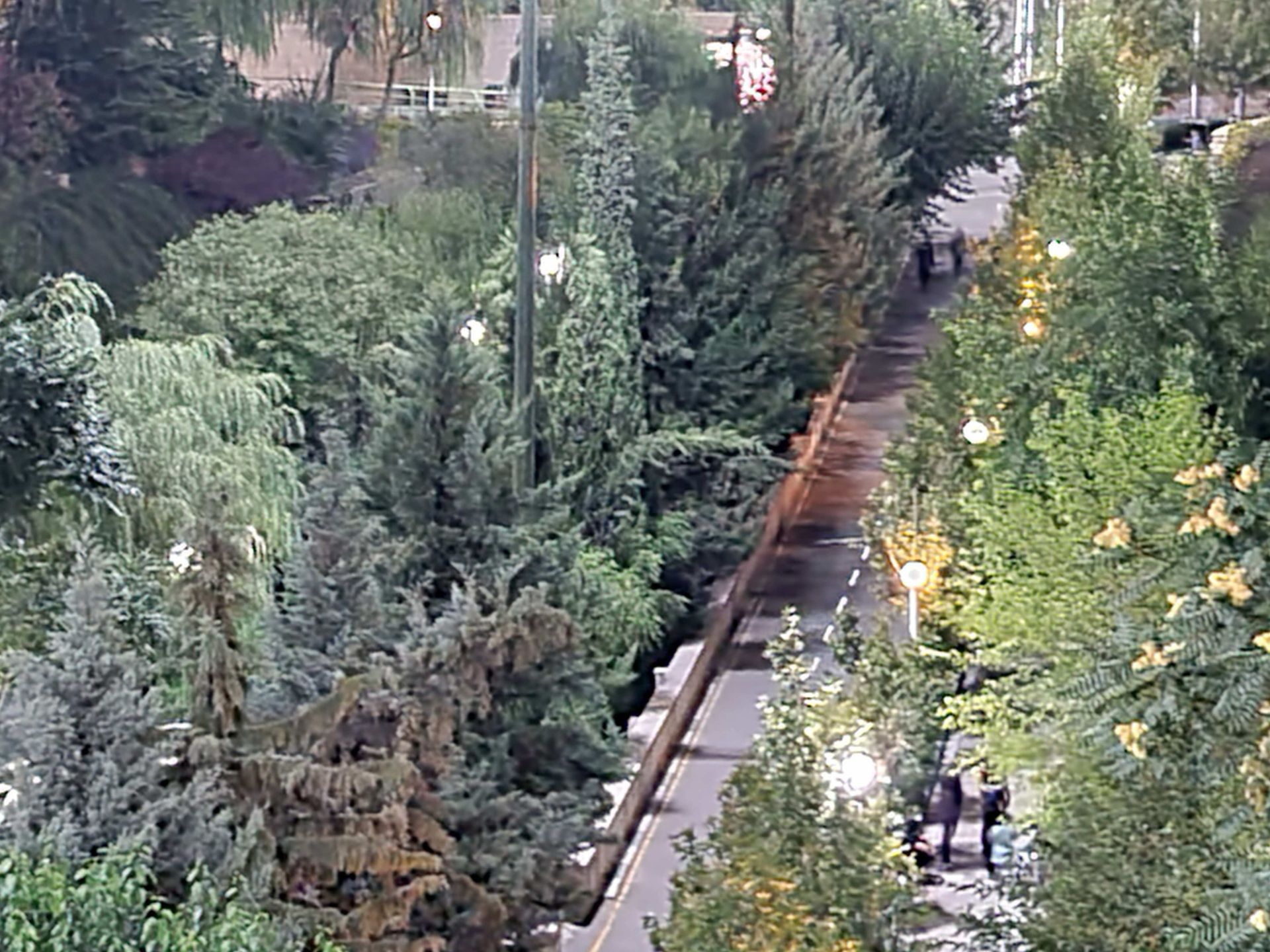 نمونه عکس 5X گلکسی نوت ۲۰ اولترا در تاریکی - بوستان نهج البلاغه