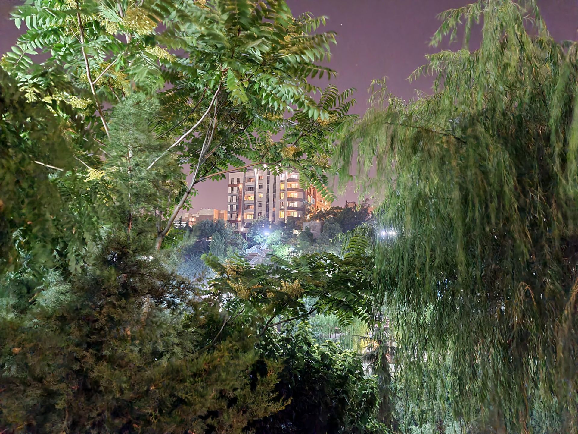 نمونه عکس دوربین اصلی گلکسی نوت ۲۰ اولترا در تاریکی - بوستان نهج البلاغه