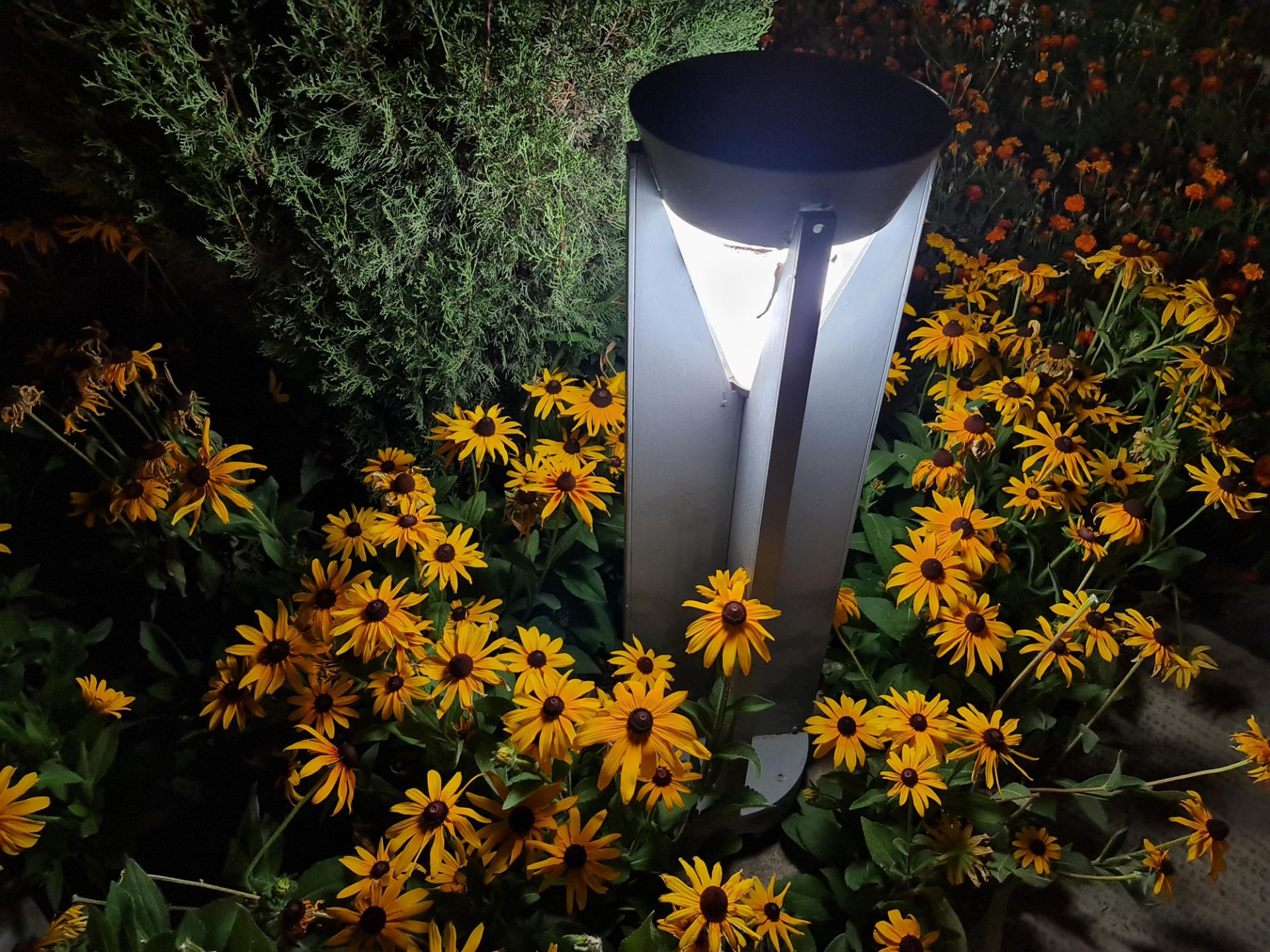 نمونه عکس دوربین اصلی گلکسی نوت ۲۰ اولترا در تاریکی - پارک آب و آتش