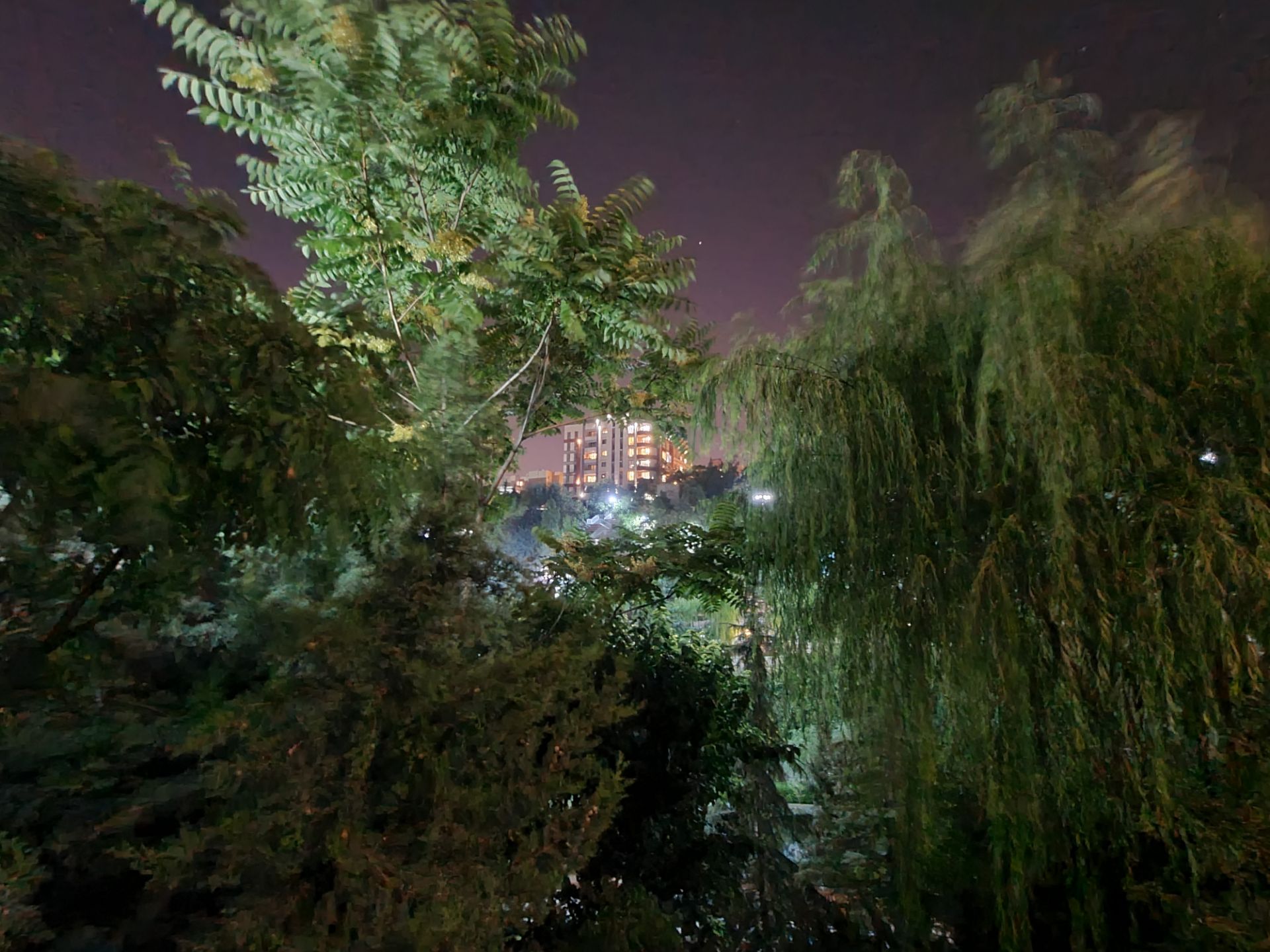 نمونه عکس اولتراواید گلکسی نوت ۲۰ اولترا در تاریکی - ساختمان در میان درختان