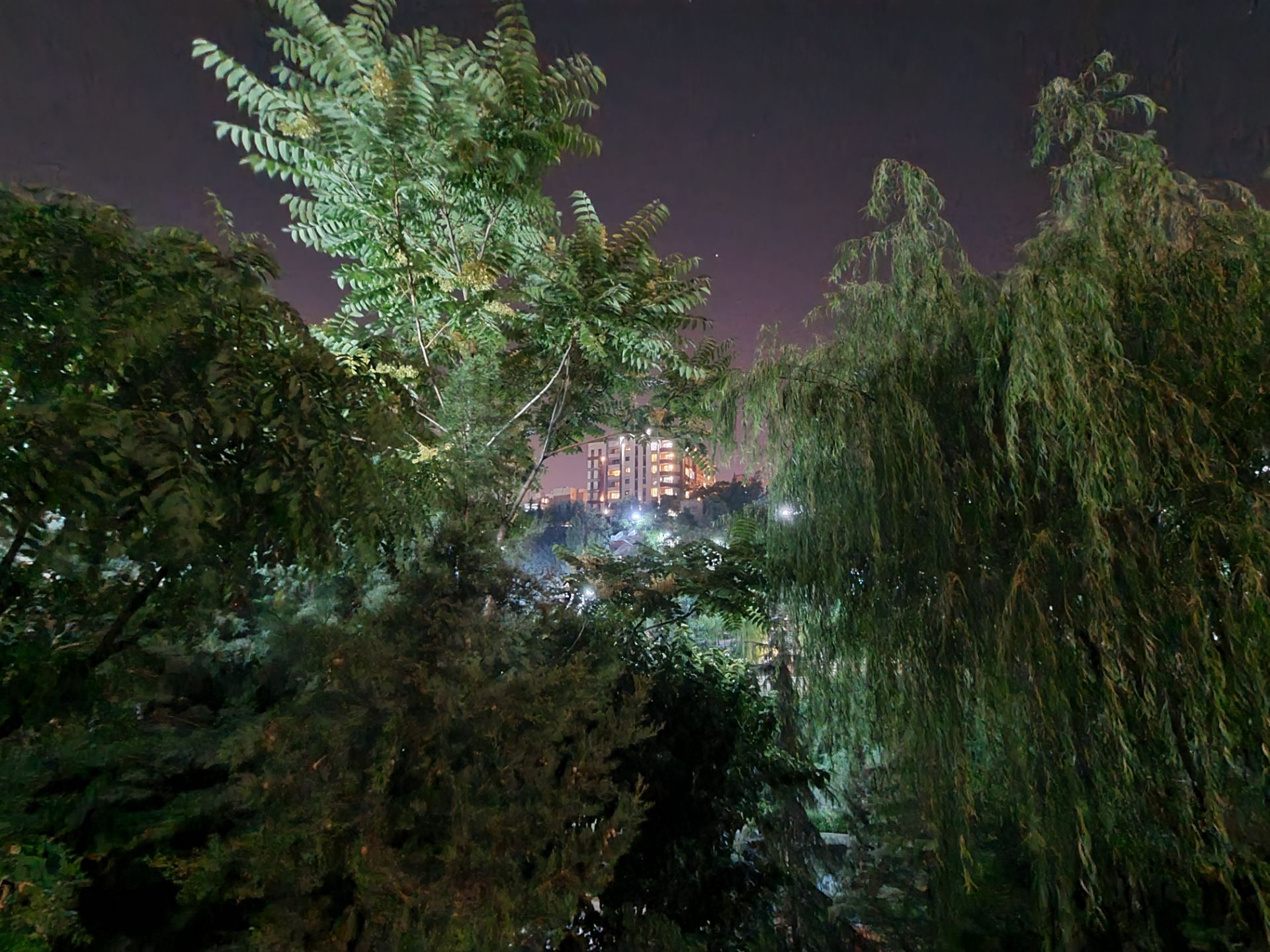 نمونه عکس اولتراواید گلکسی نوت ۲۰ در تاریکی - ساختمان در میان درختان