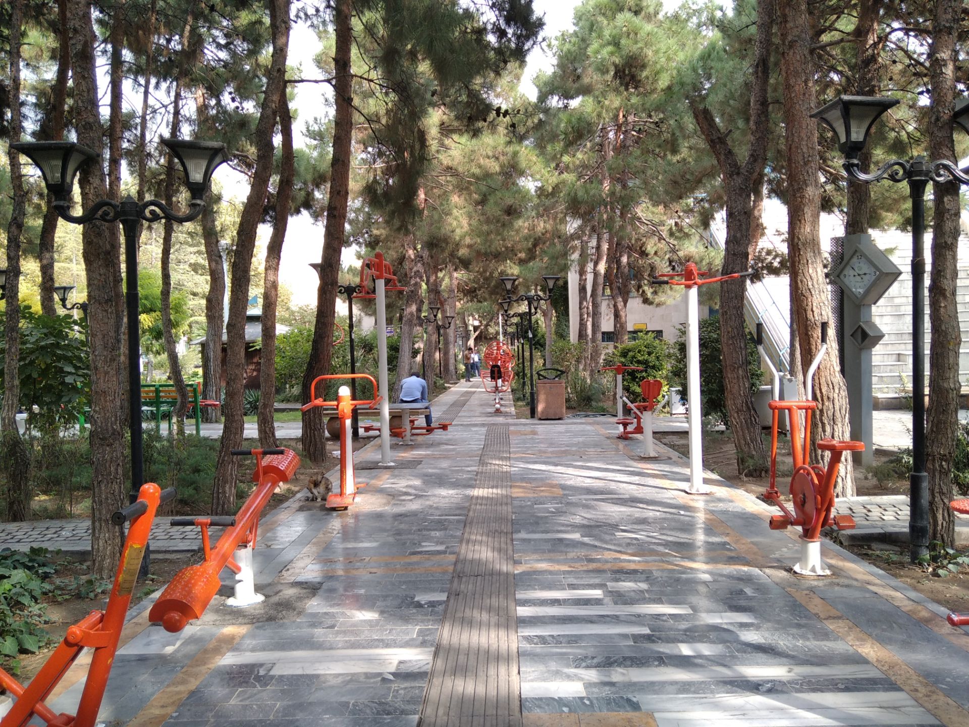 نمونه عکس ثبت شده توسط دوربین اصلی شیائومی ردمی ۸ - مسیر یک پارک