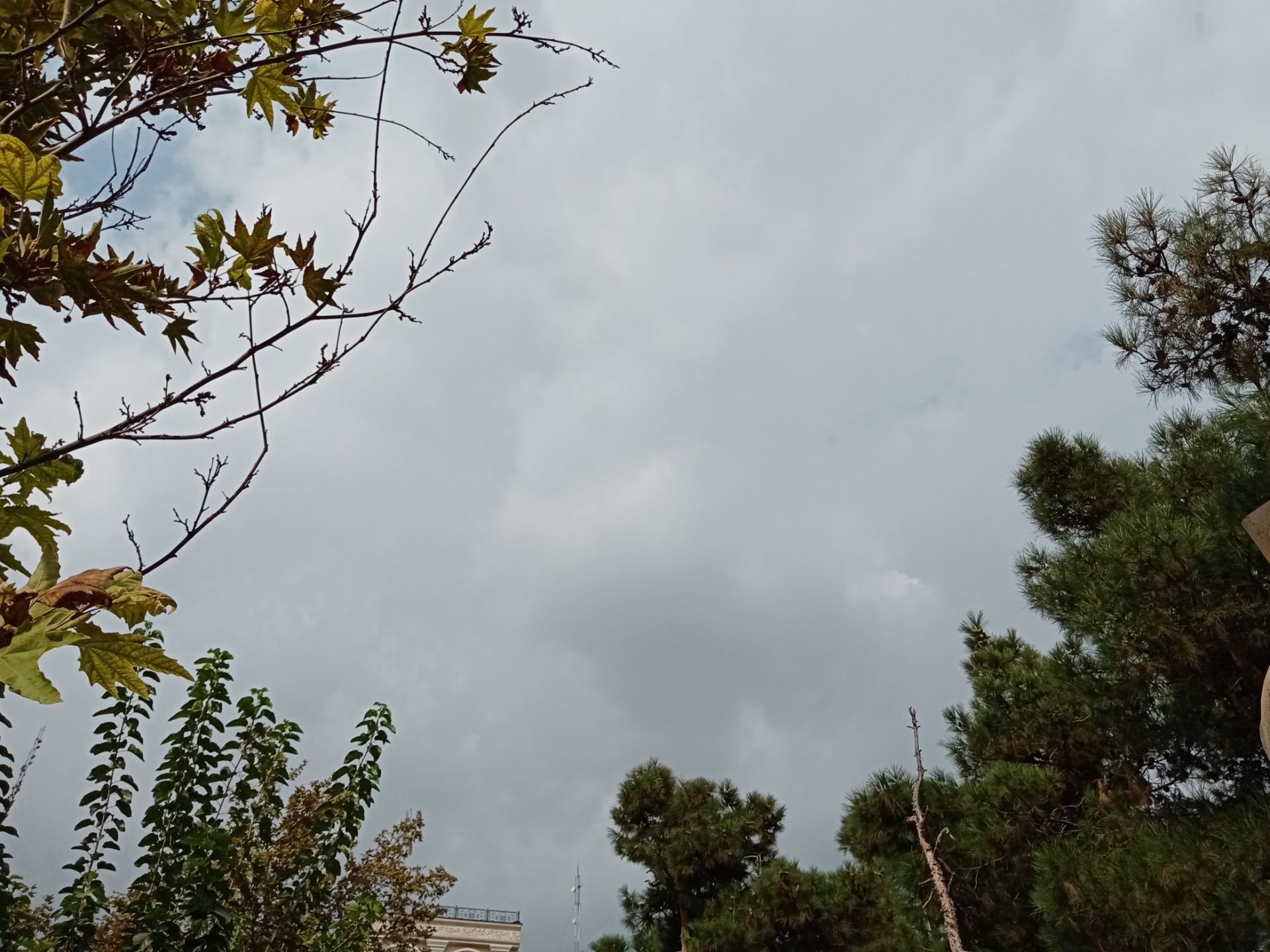 نمونه عکس ثبت شده توسط دوربین اصلی آنر ۹ ای - آسمان ابری