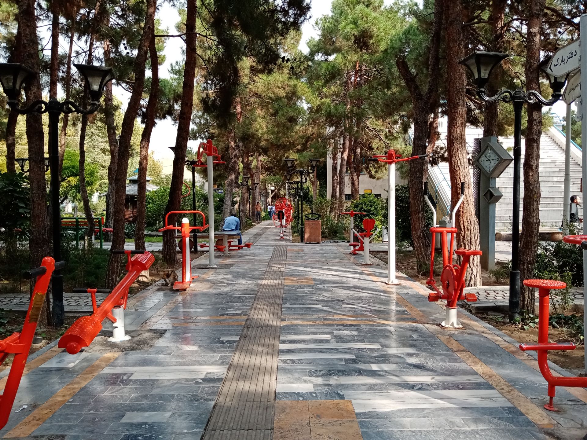 نمونه عکس ثبت شده توسط دوربین اولتراواید آنر ۹ ای - مسیر یک پارک