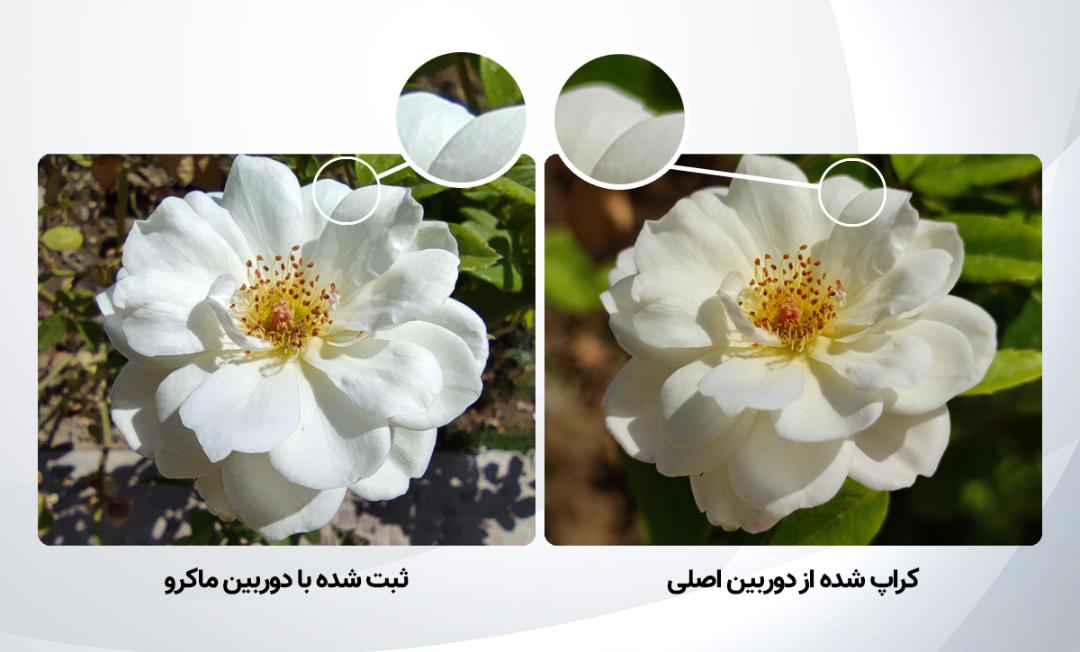 مقایسه جزئیات عکس دوربین ماکرو با تصویر کراپ شده دوربین اصلی شیائومی می ۱۰