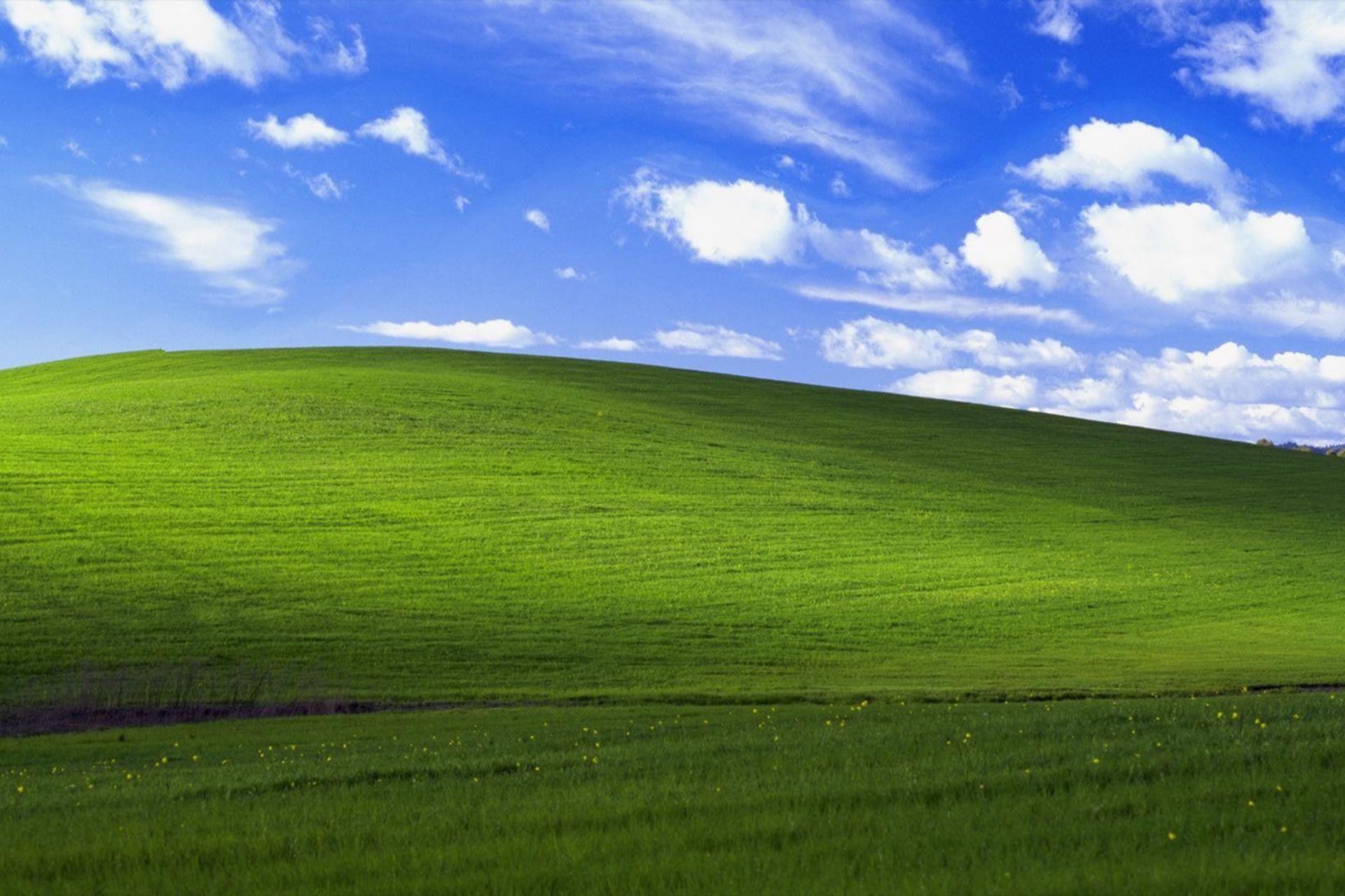 والپیپر Bliss ویندوز ایکس پی / Windows XP مایکروسافت