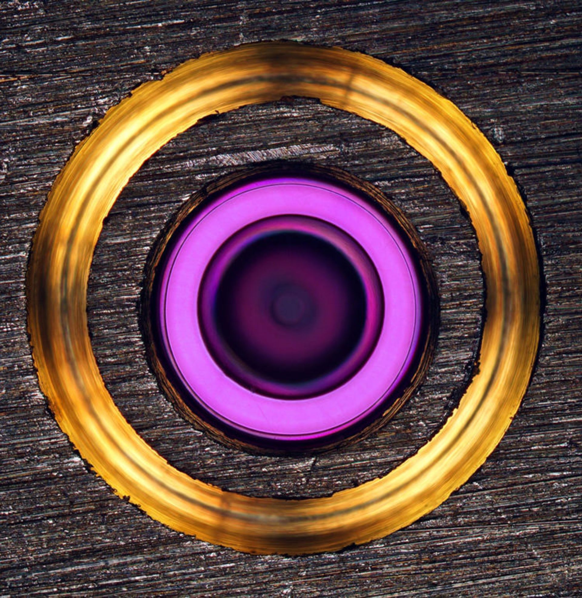 دنیای کوچک نیکون / Nikon Small World