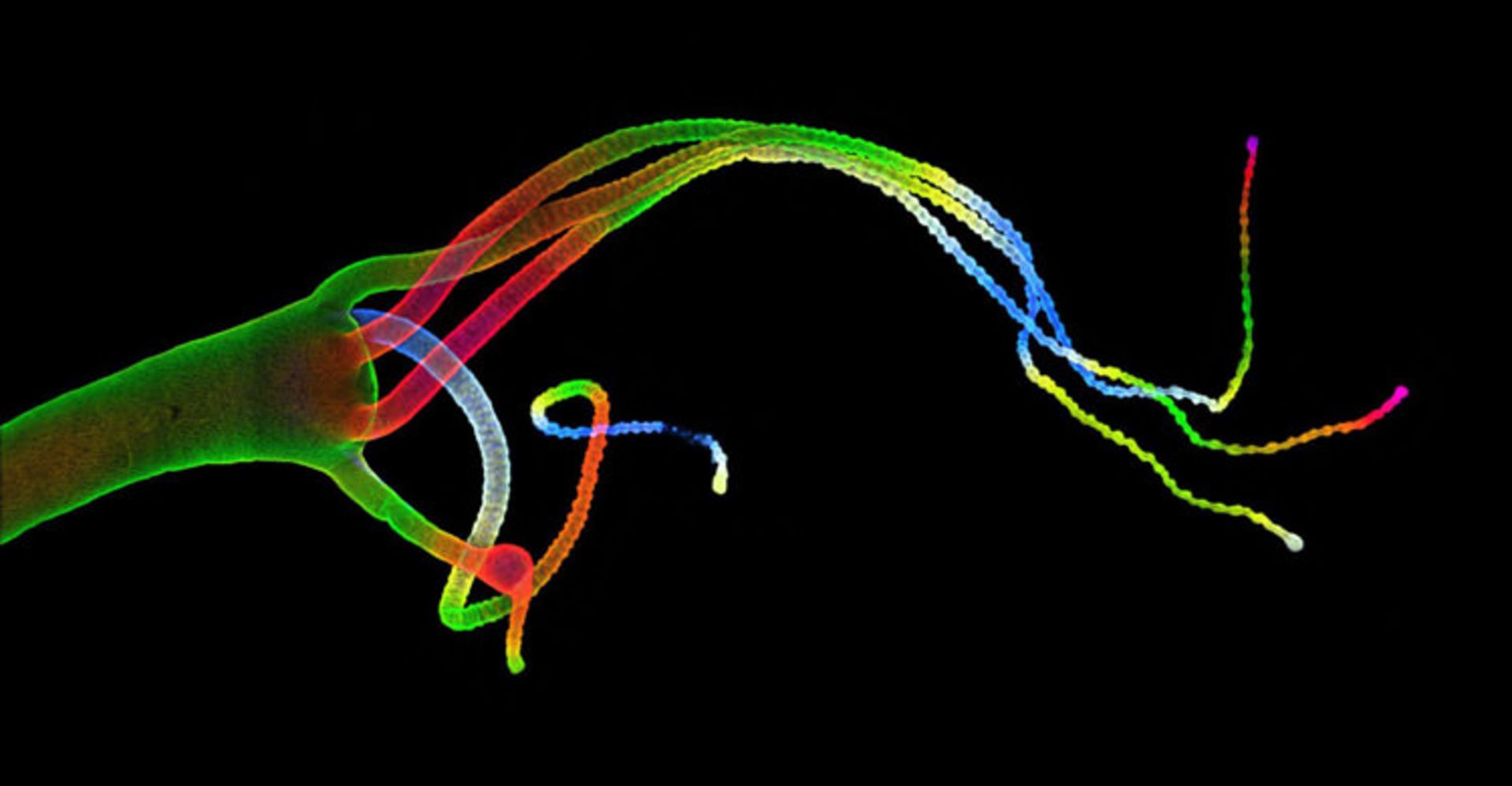 دنیای کوچک نیکون / Nikon Small World