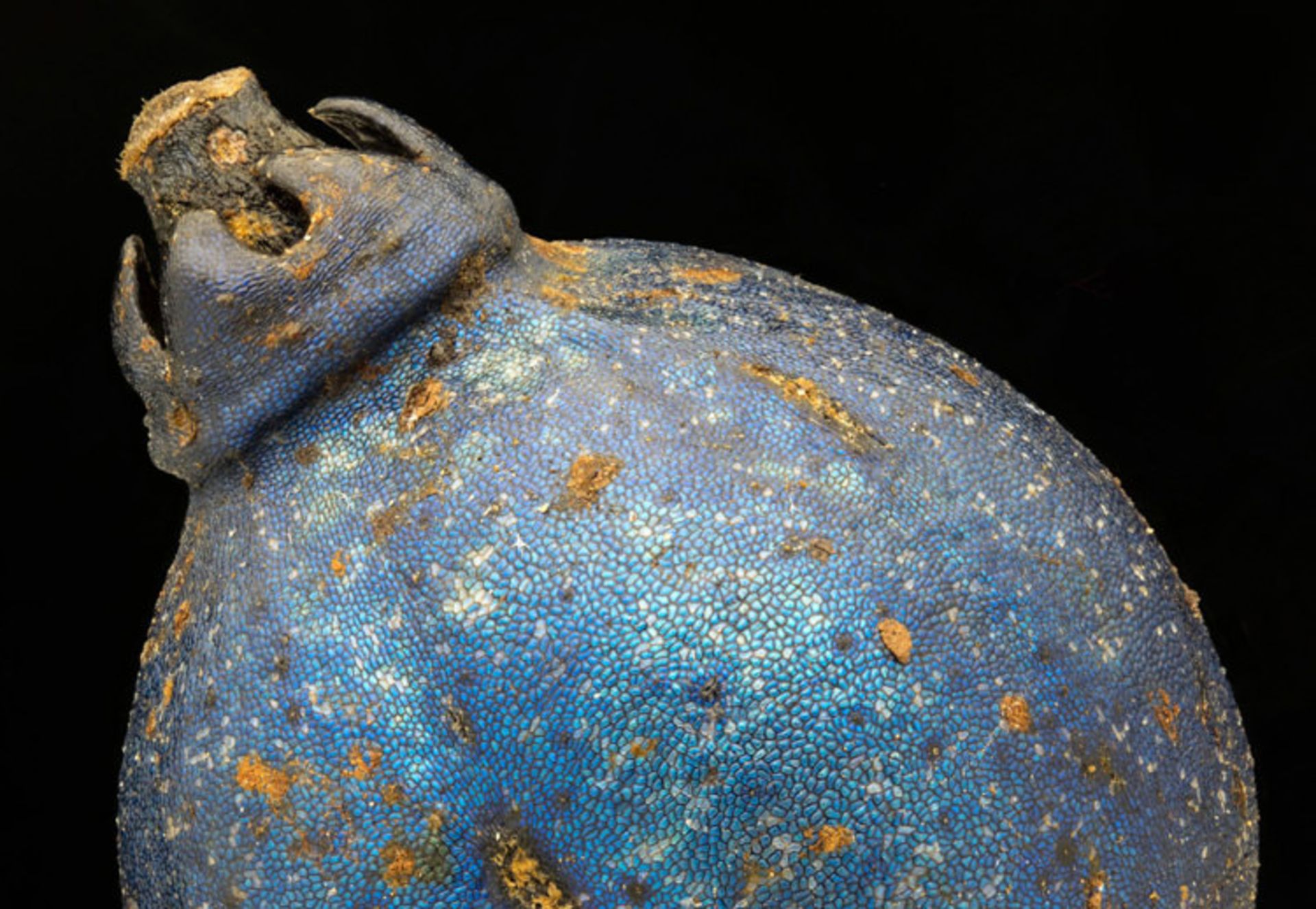 دنیای کوچک نیکون / Nikon Small World