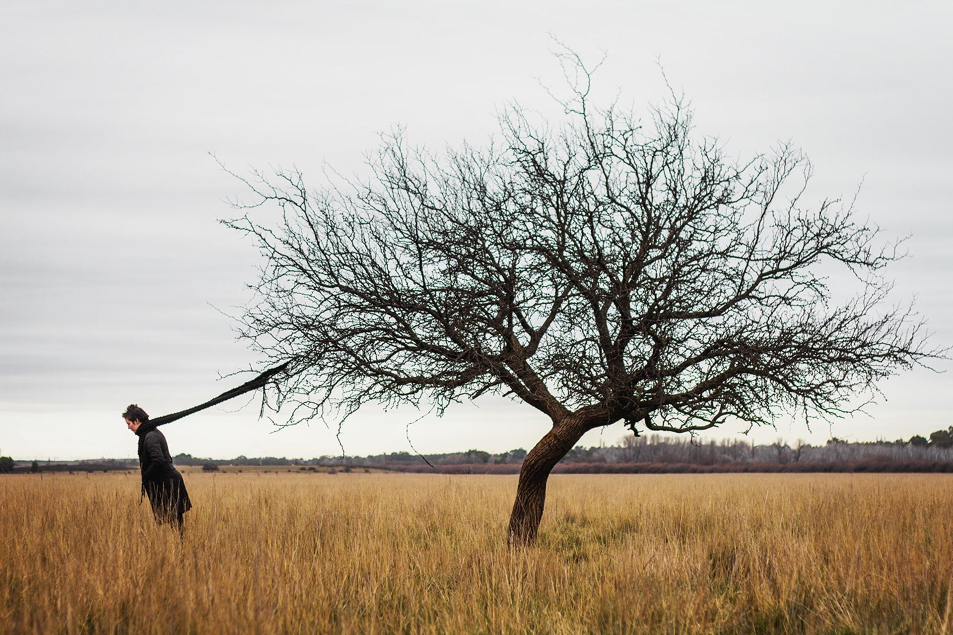 اختلال دوقطبی / bipolar disorder