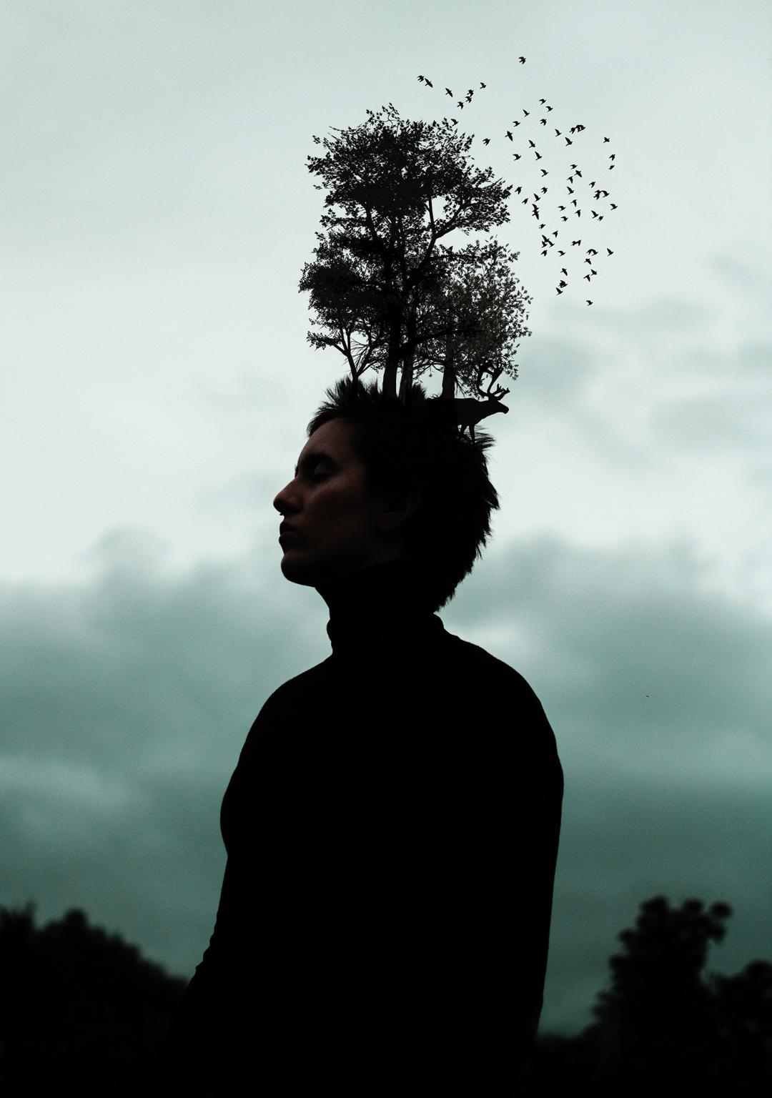 اختلال دوقطبی / bipolar disorder