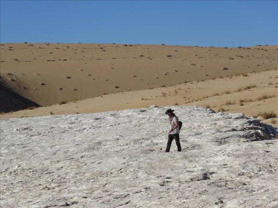 پژوهشگر باستان شناس در عربستان