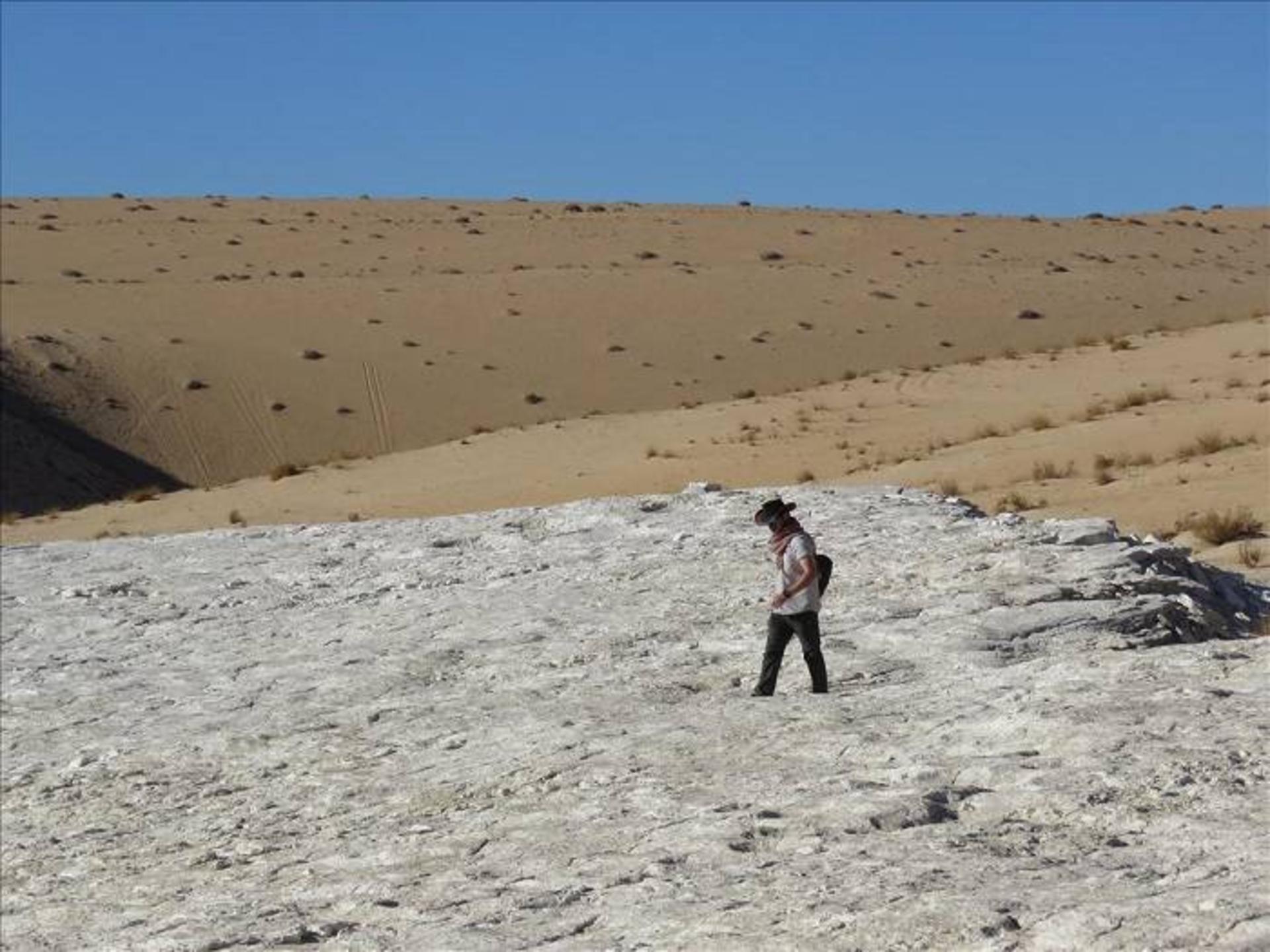 پژوهشگر باستان شناس در عربستان