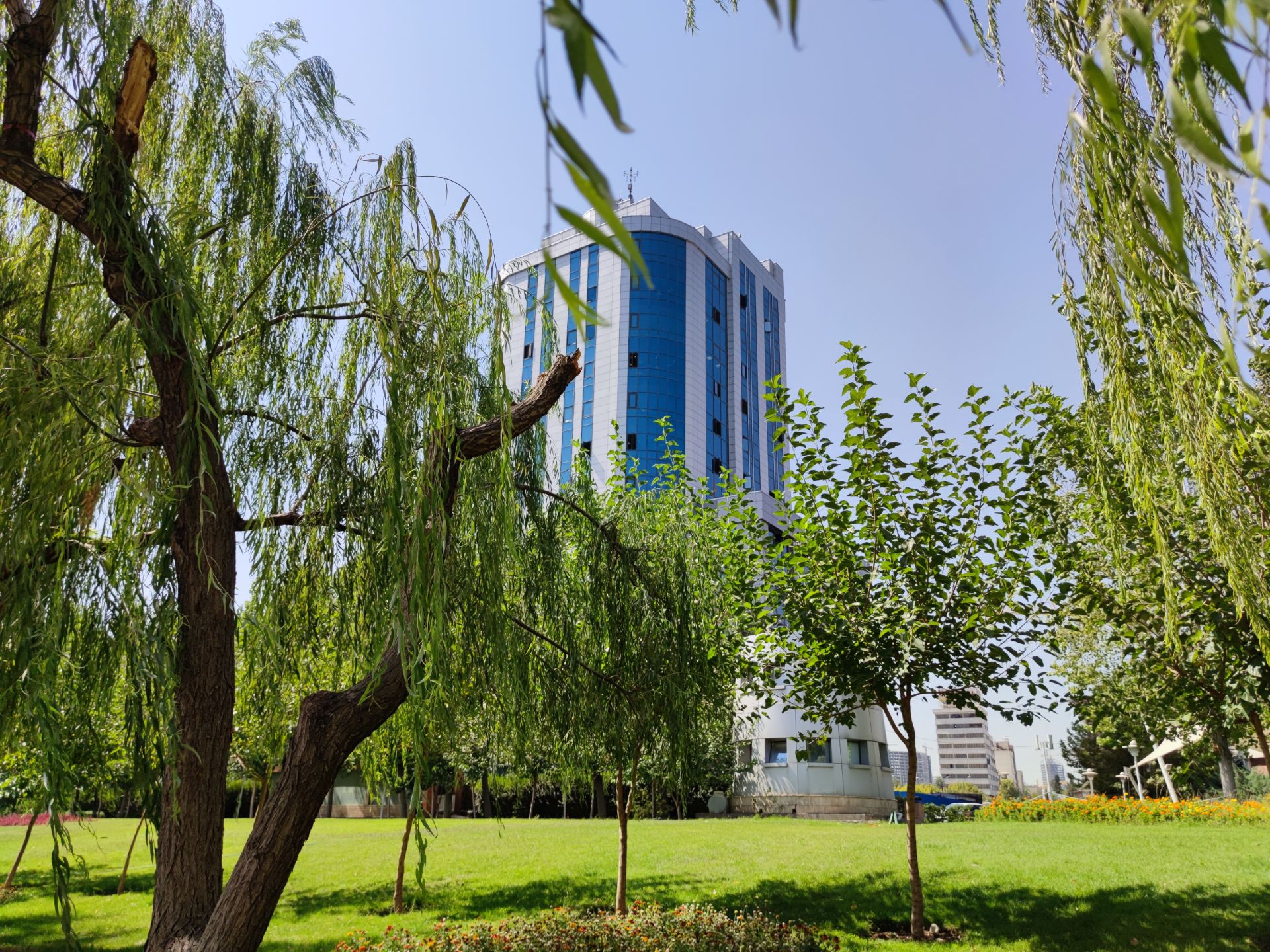 نمونه عکس دوربین اصلی شیائومی می 10 با بزرگنمایی 1X -  ساختمان و درخت پارک آب و آتش