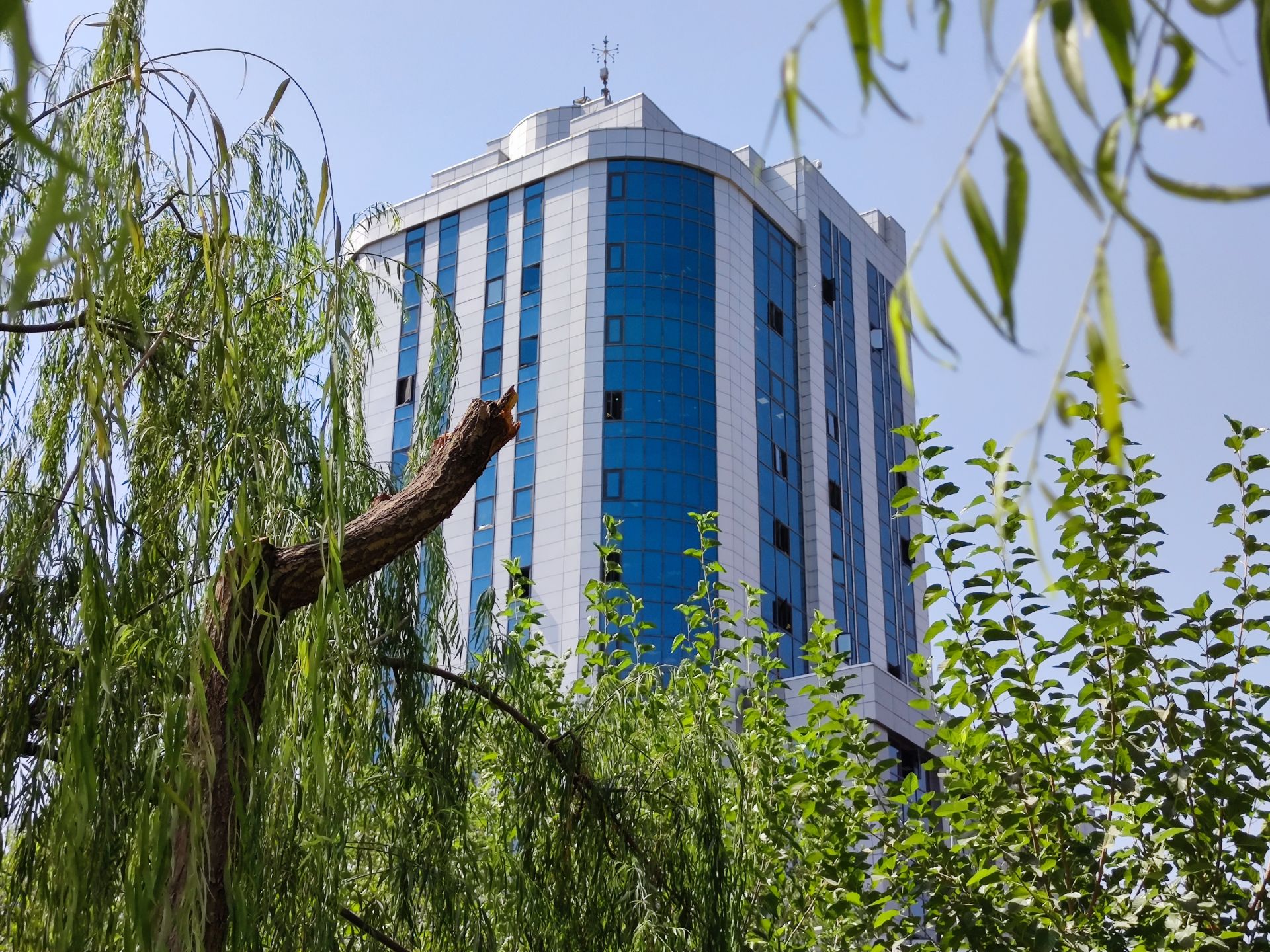 نمونه عکس دوربین اصلی شیائومی می 10 با بزرگنمایی 2X - ساختمان و درخت پارک آب و آتش