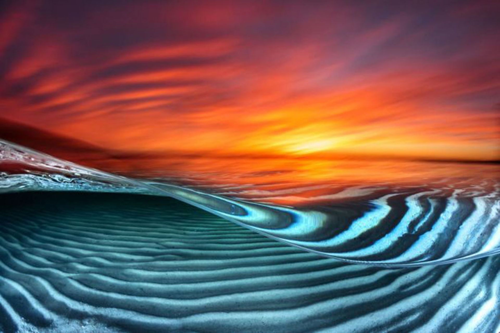 برندگان مسابقه عکسبرداری زیر آب