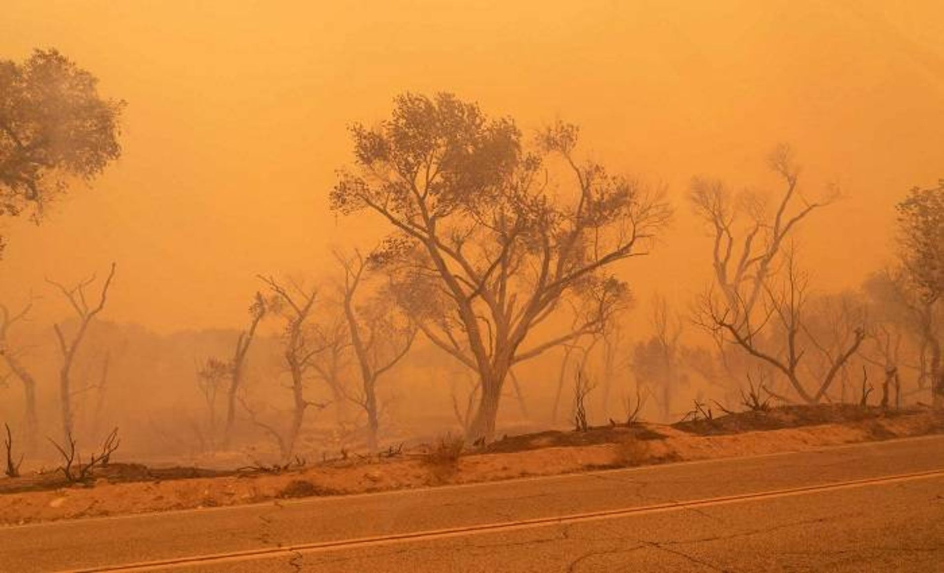 آتش سوزی کالیفرنیا / California  wildfire