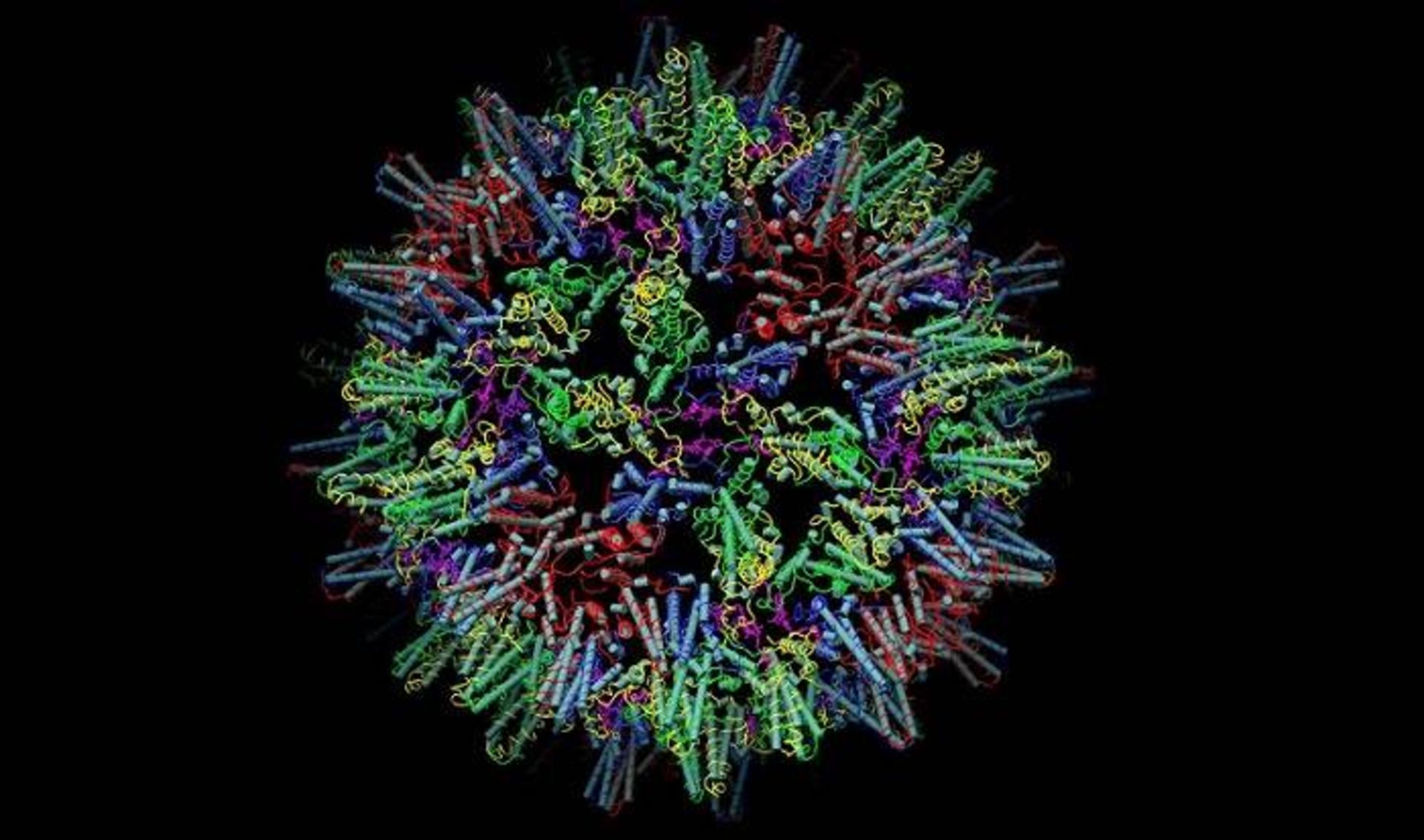 کپسید ویروس هپاتیت / hepatitis B virus capsid