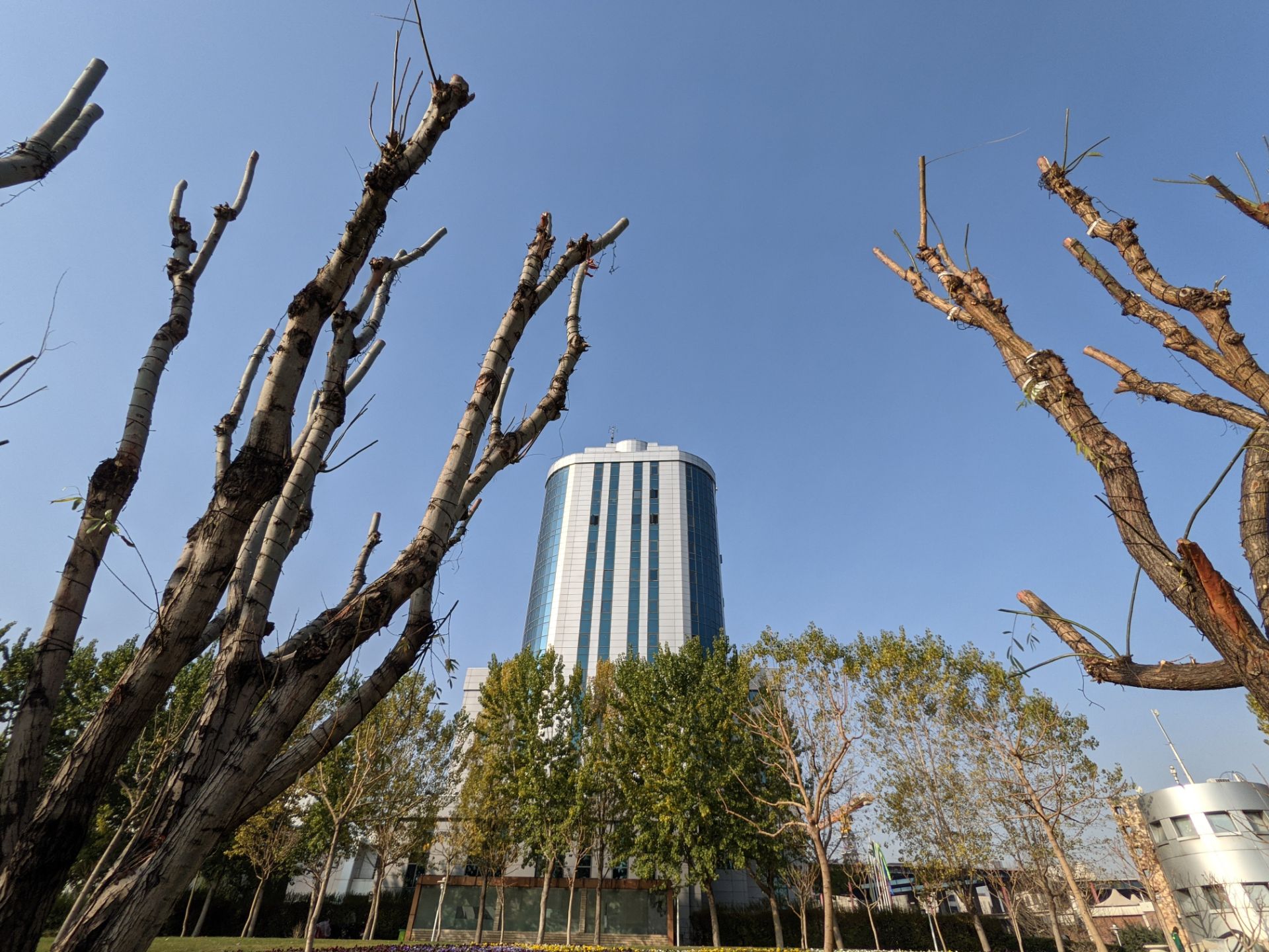 عکس 0.6x پیکسل ۵